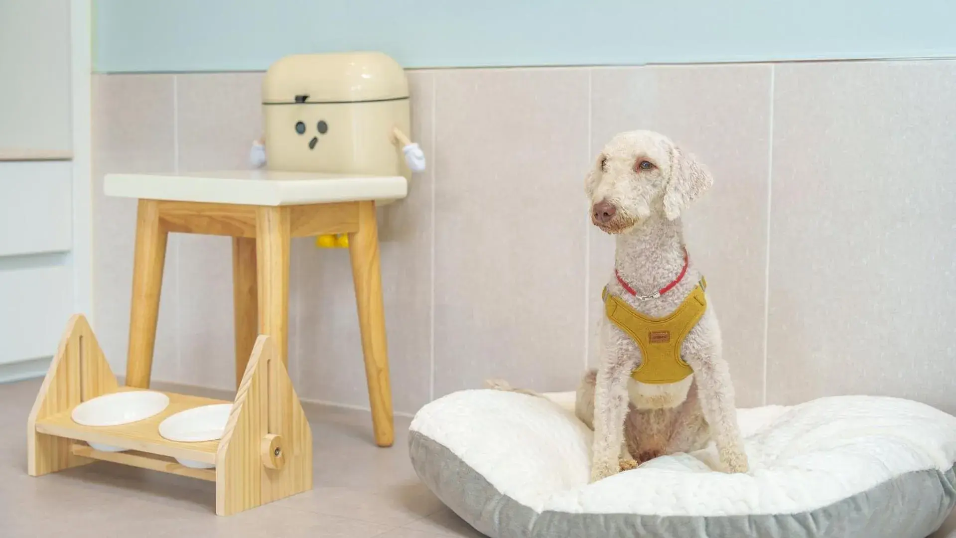gyeongsan stage-ipple pet pension gyeongsan stage-ipple pet pension