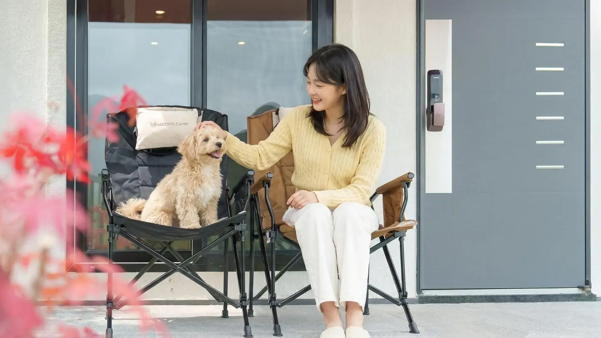 gyeongsan stage-ipple pet pension gyeongsan stage-ipple pet pension