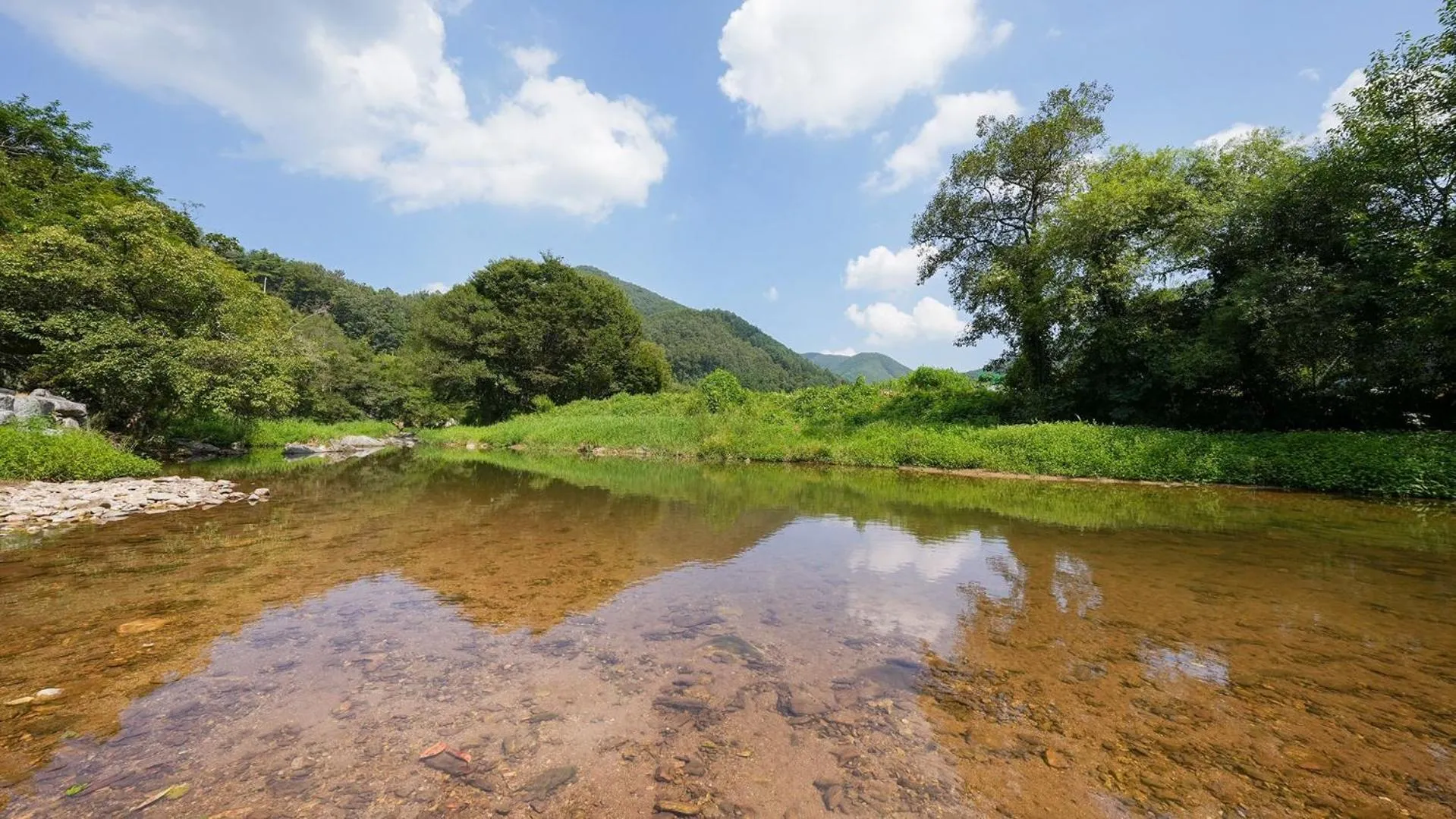 Property building in yangpyeong beulleosseom pet spa pension