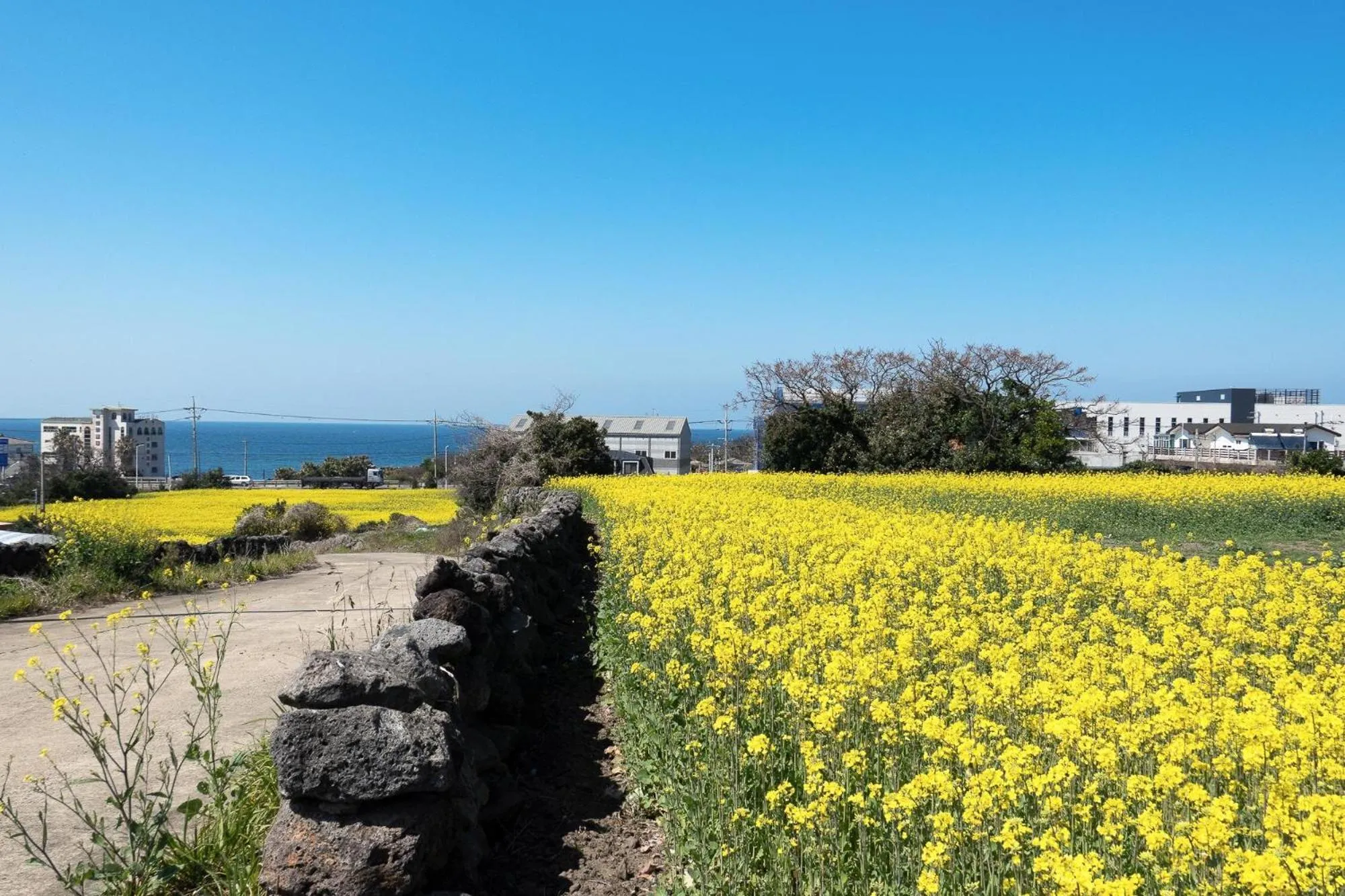 Property building in Jeju Sky Kids Pension