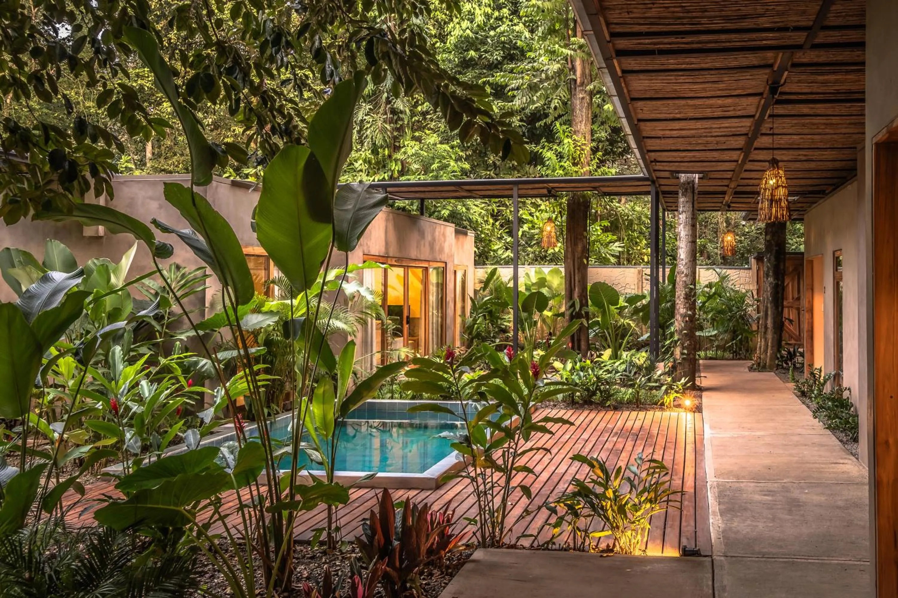 Garden in La Bonita Lodge