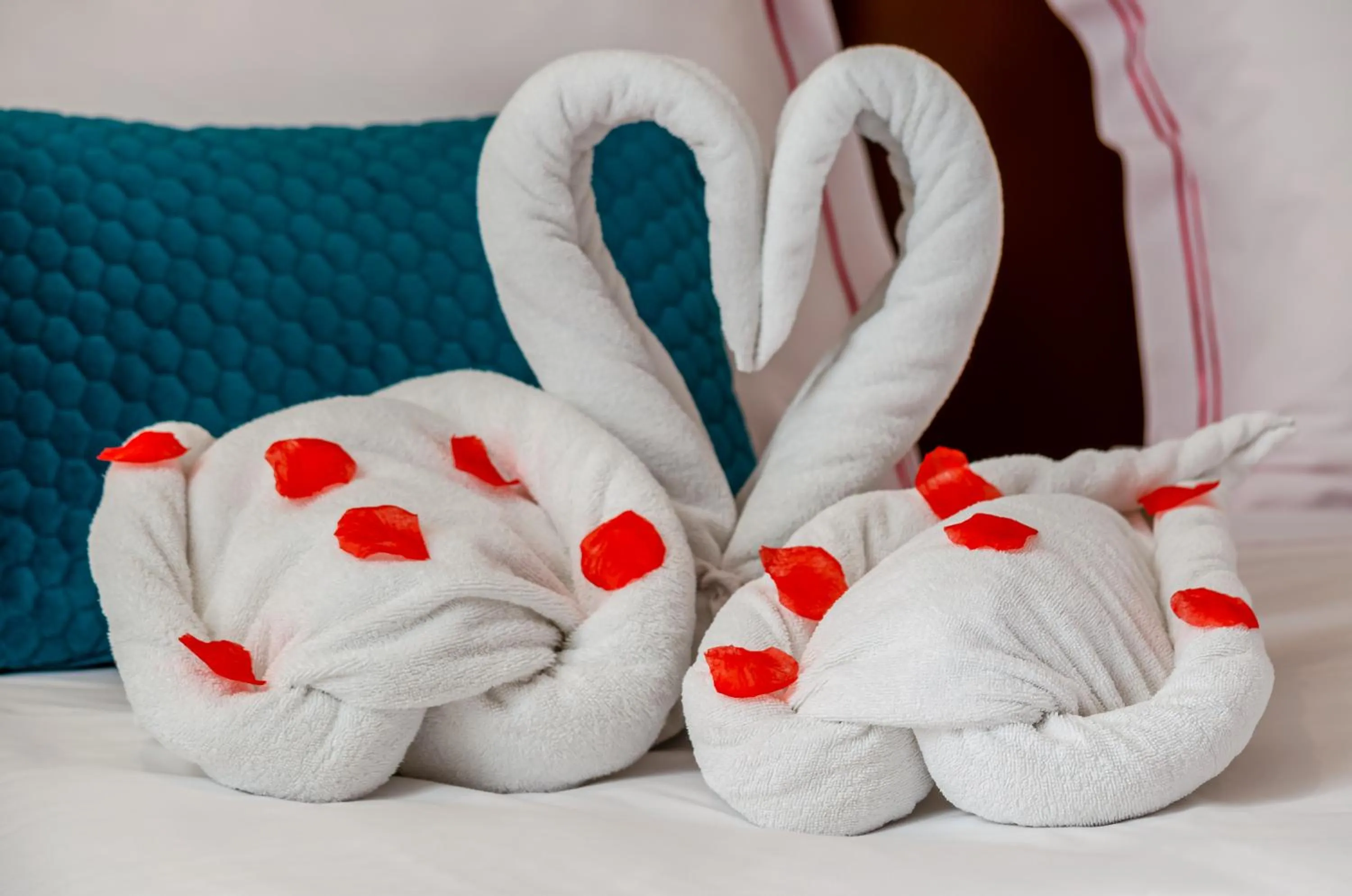 Other, Bed in The 7 Hotel, Suites, Studios & Apartments