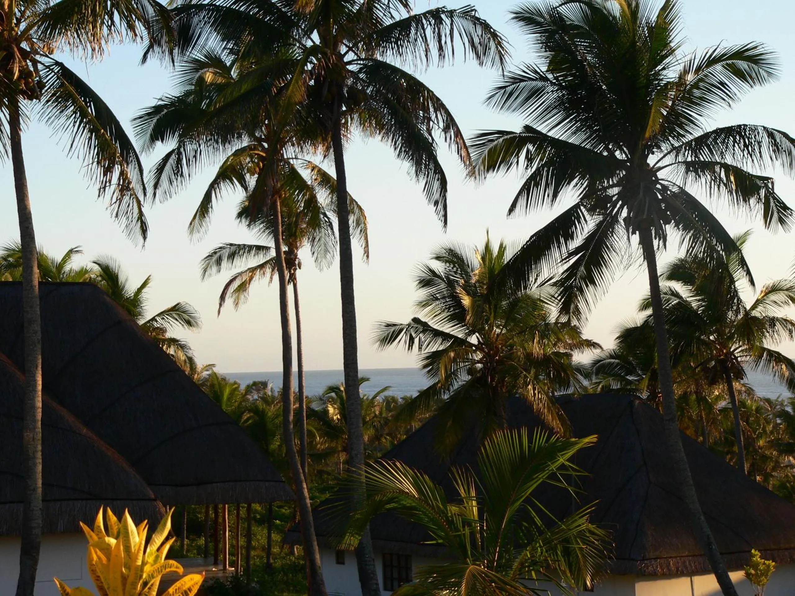 Other in Blue Moon Beach Holiday Resort