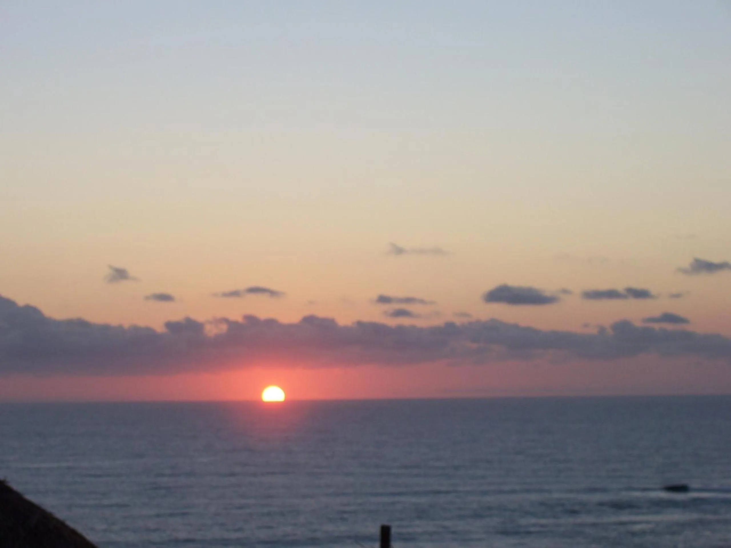 Area and facilities in Blue Moon Beach Holiday Resort