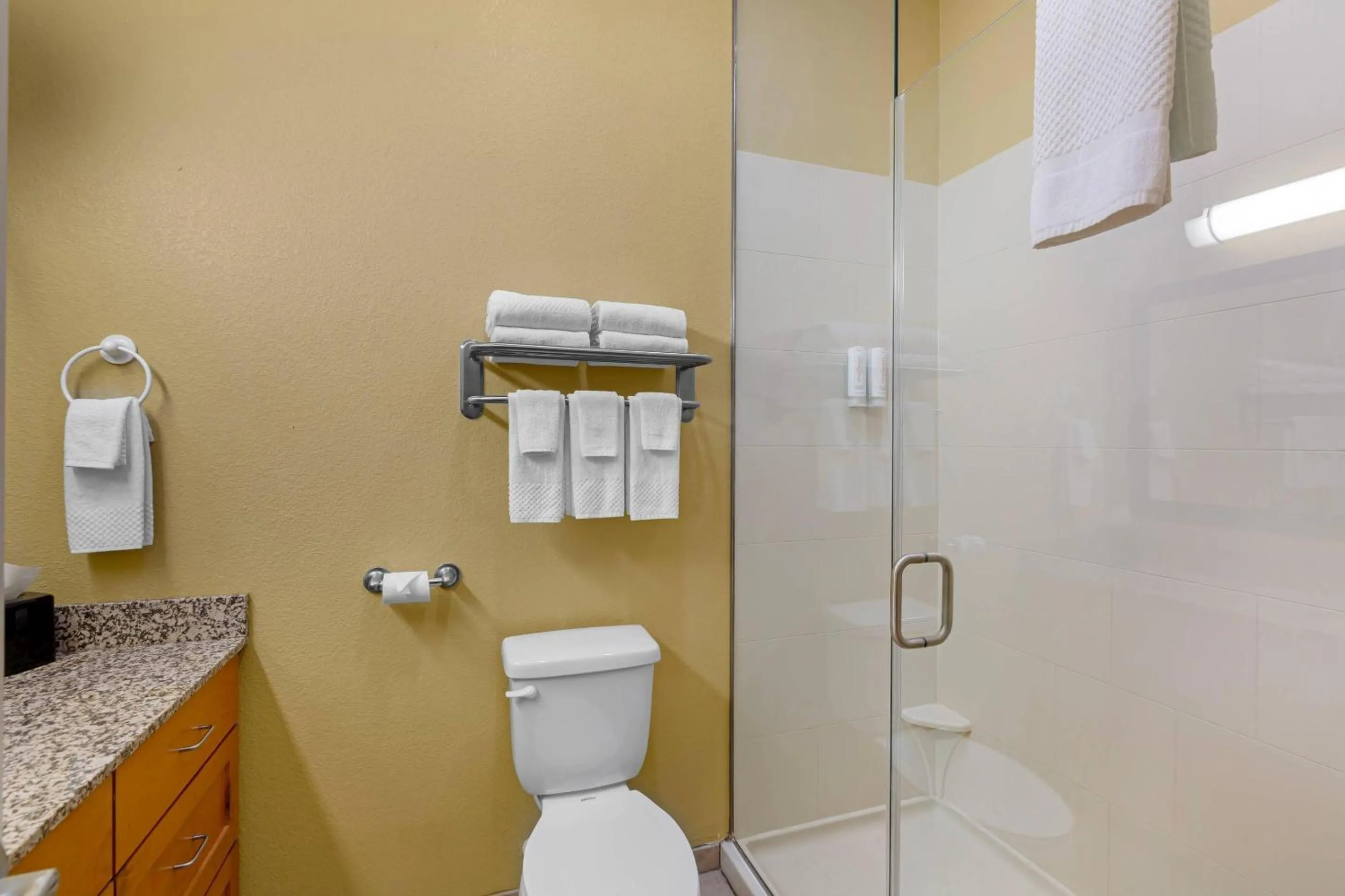 Bedroom in MainStay Suites Tioga