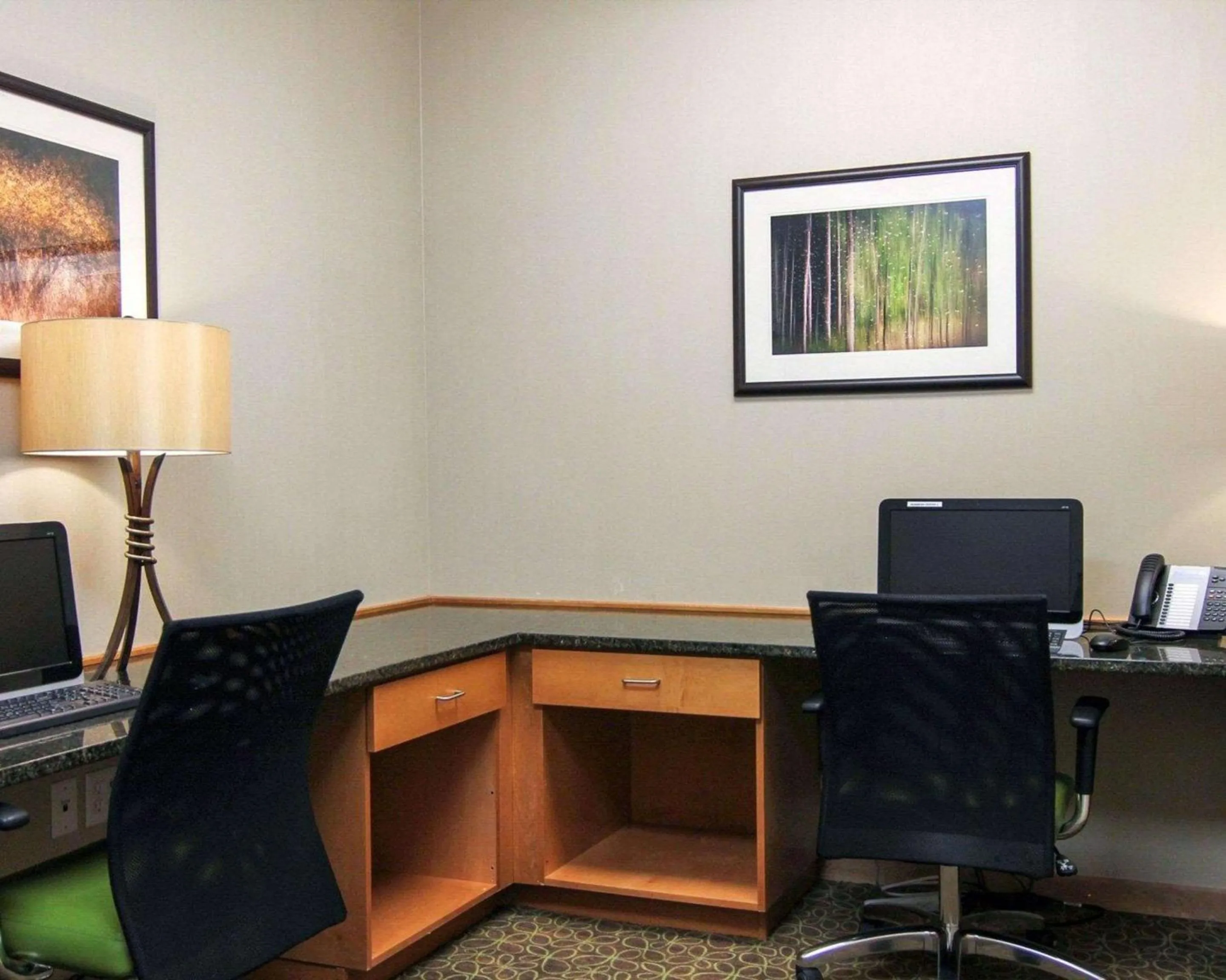 Business facilities in MainStay Suites Tioga