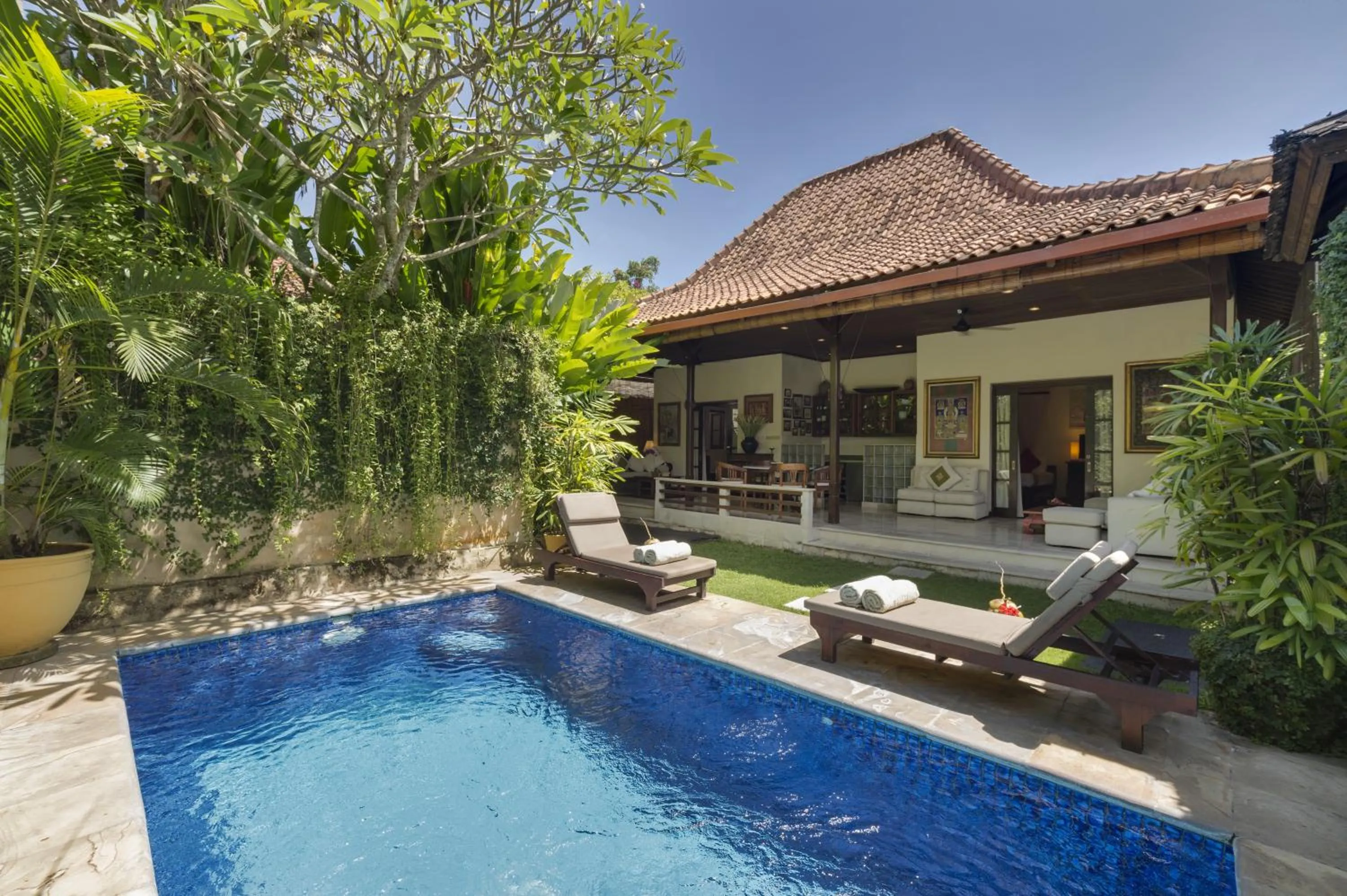 Garden in Villa Eight