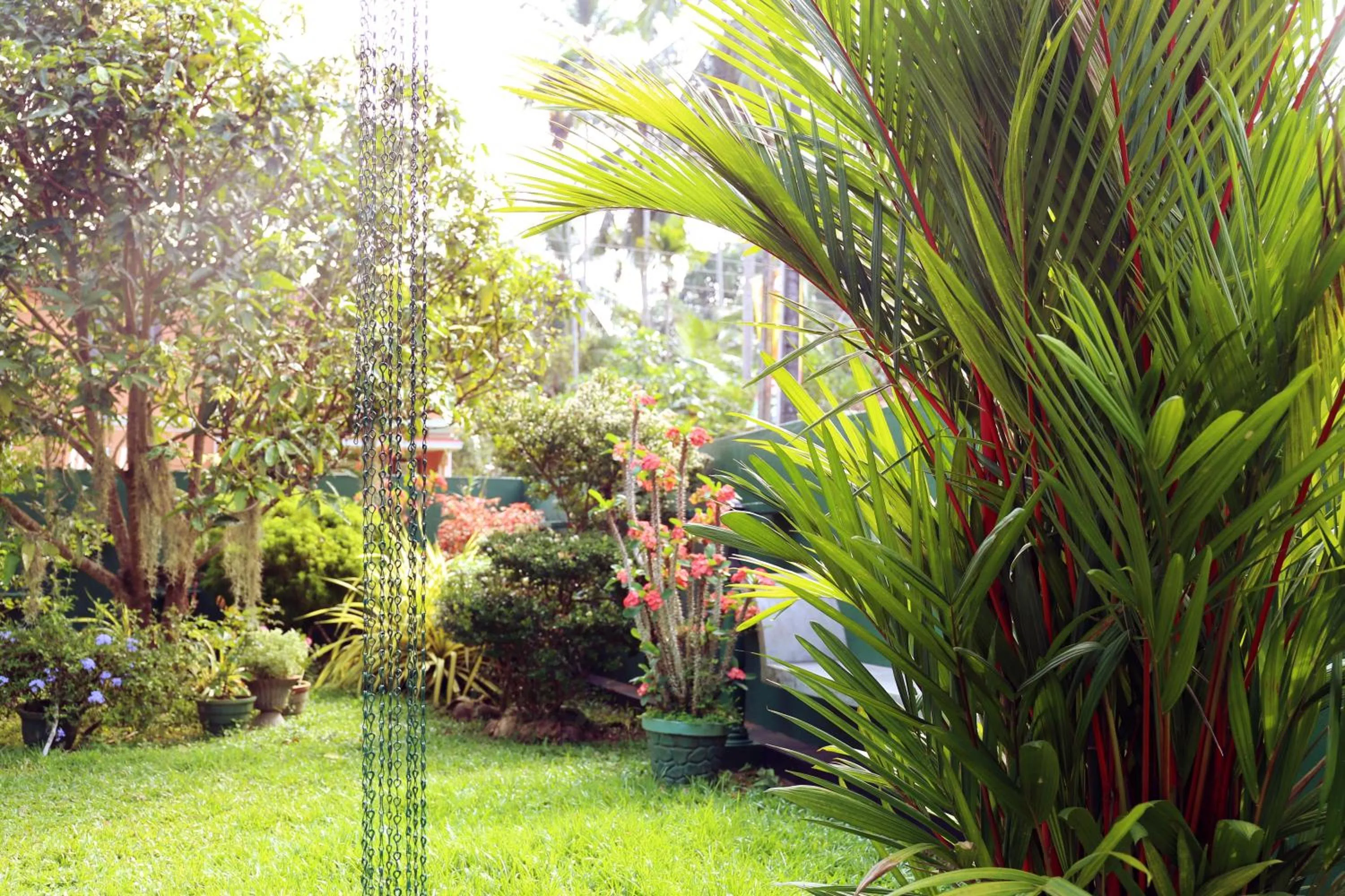 Garden in Lumbini Villa