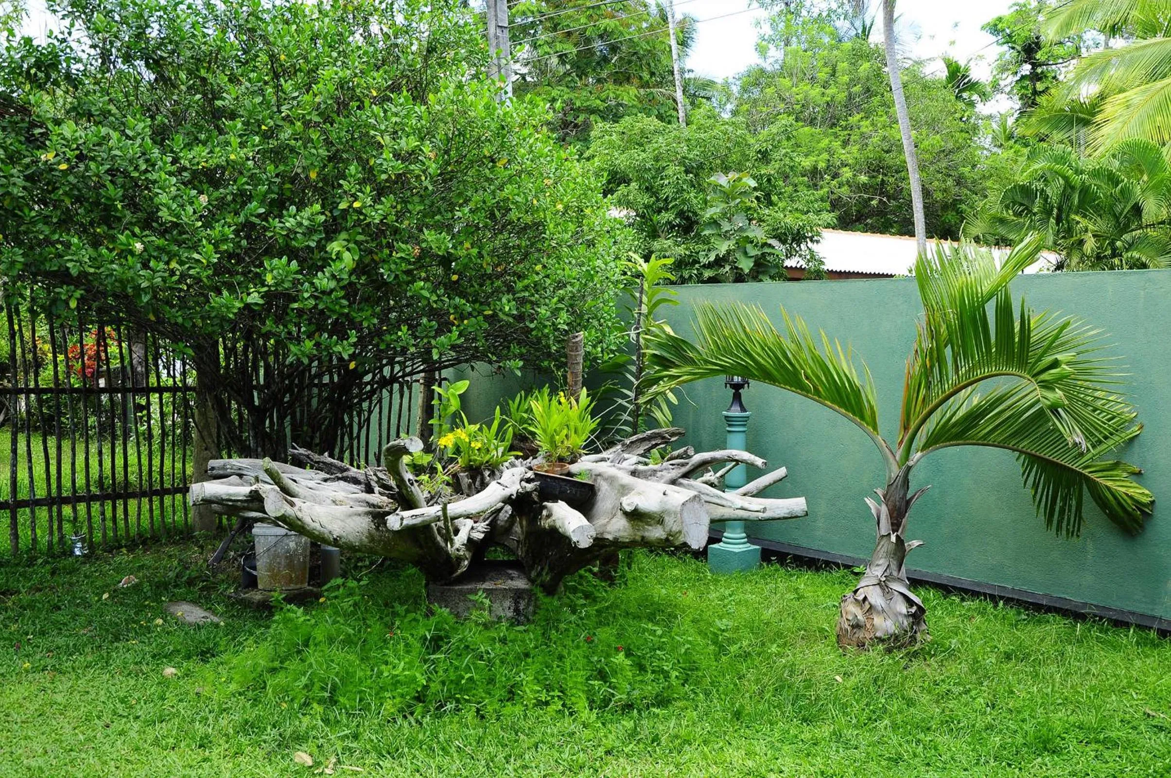 Garden in Lumbini Villa