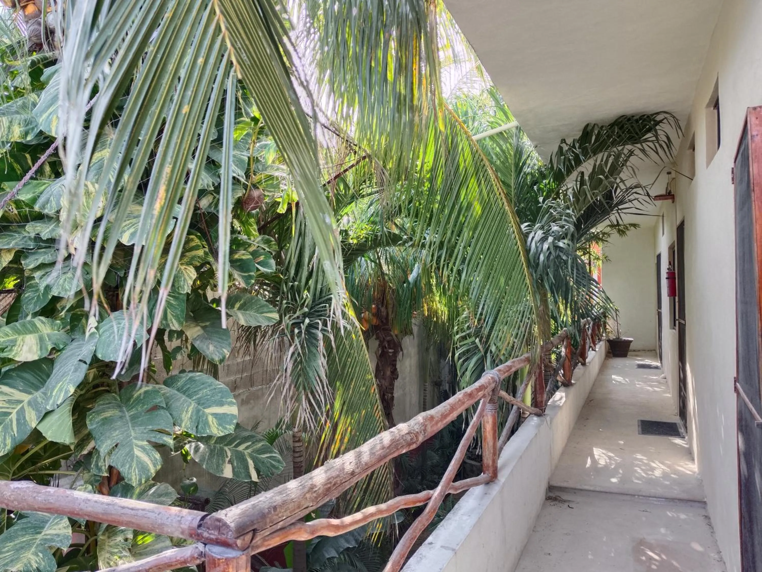 Property building in Casa Lupita