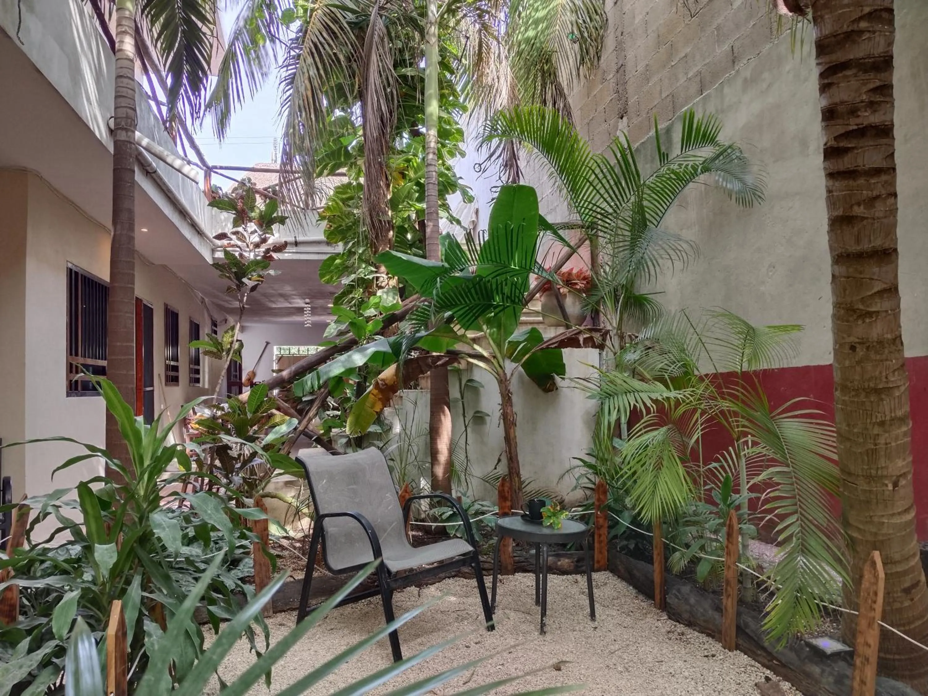 Patio in Casa Lupita