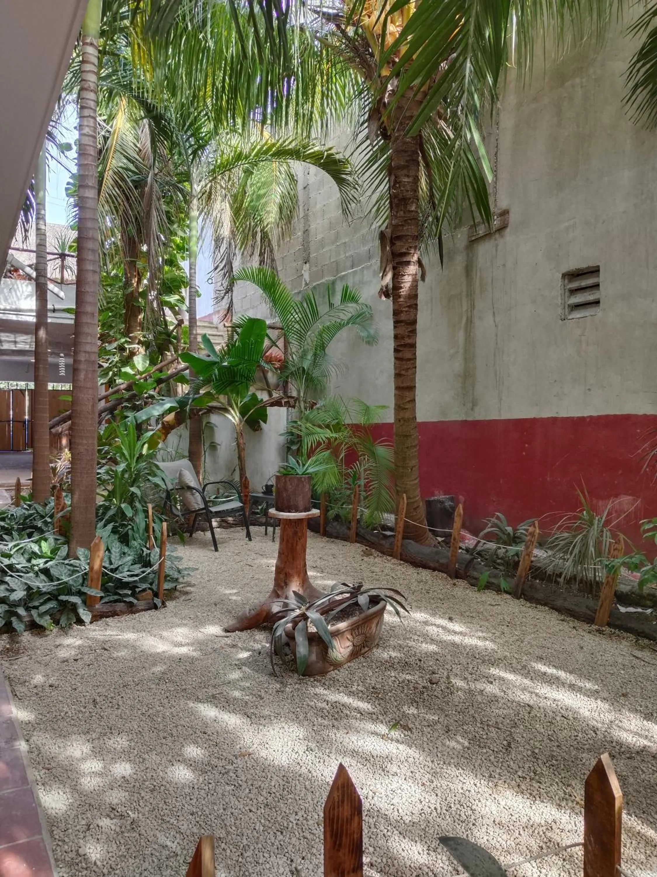 Patio in Casa Lupita