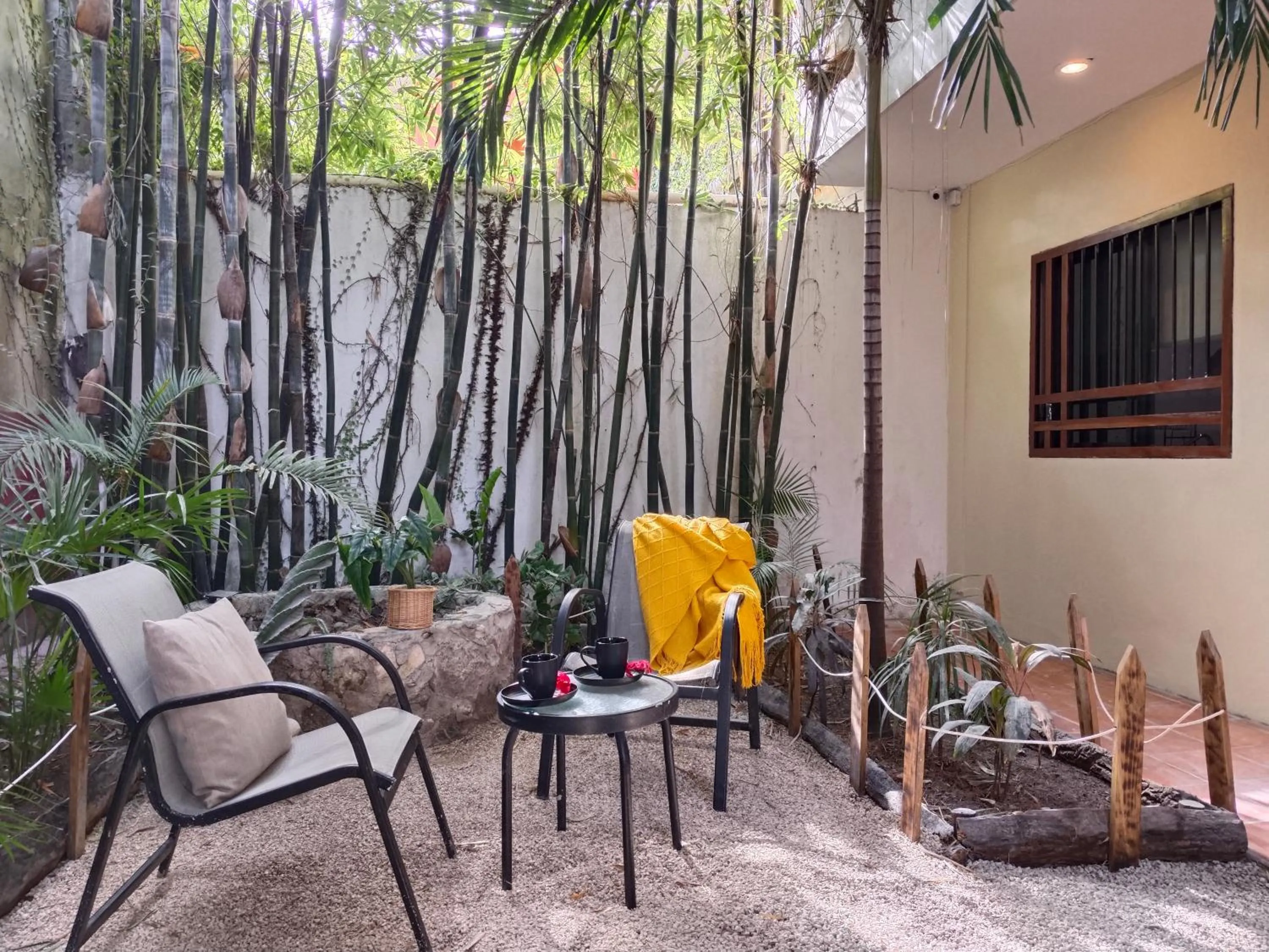 Patio in Casa Lupita