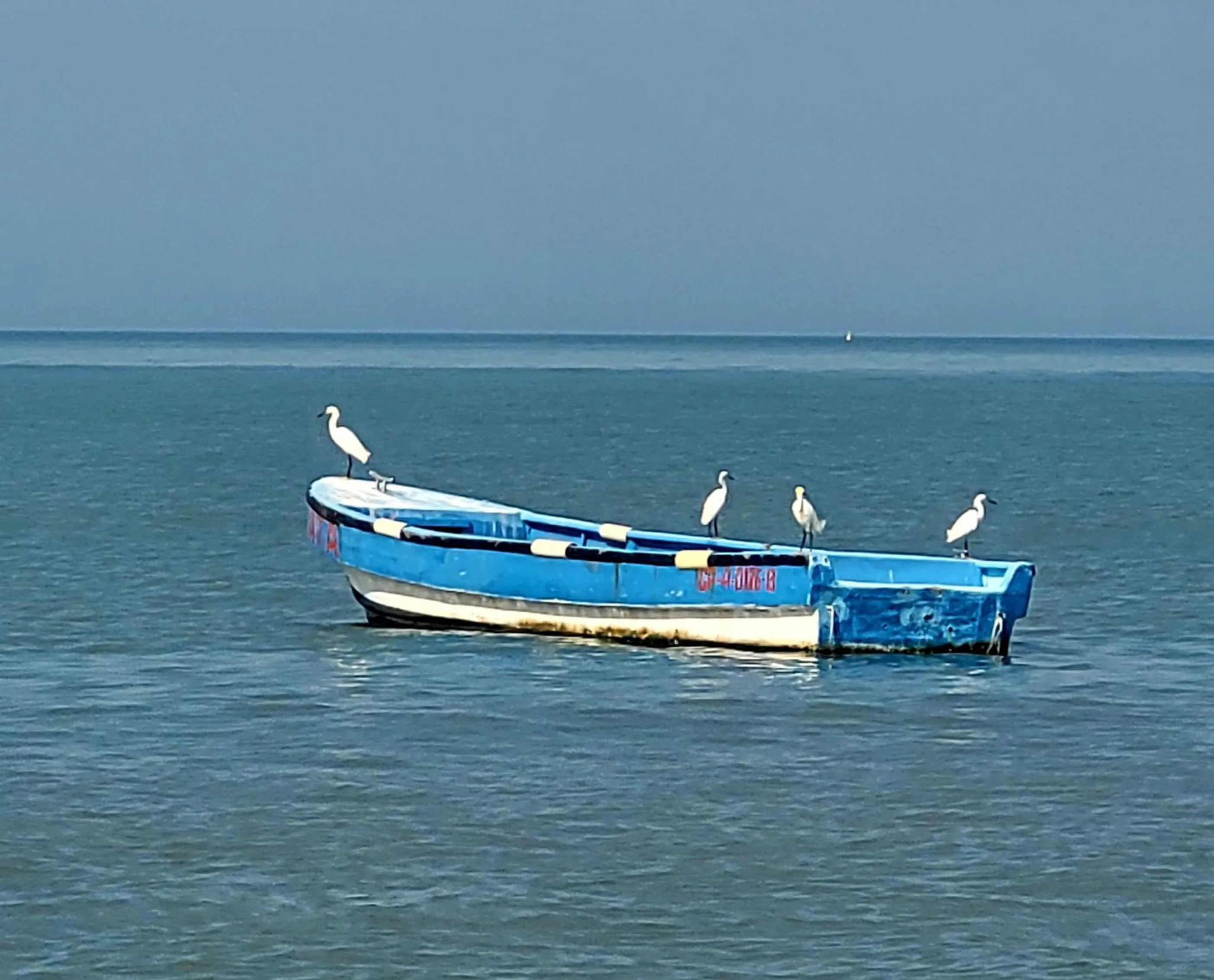 Day in Hotel Porto Horizonte suite 1426