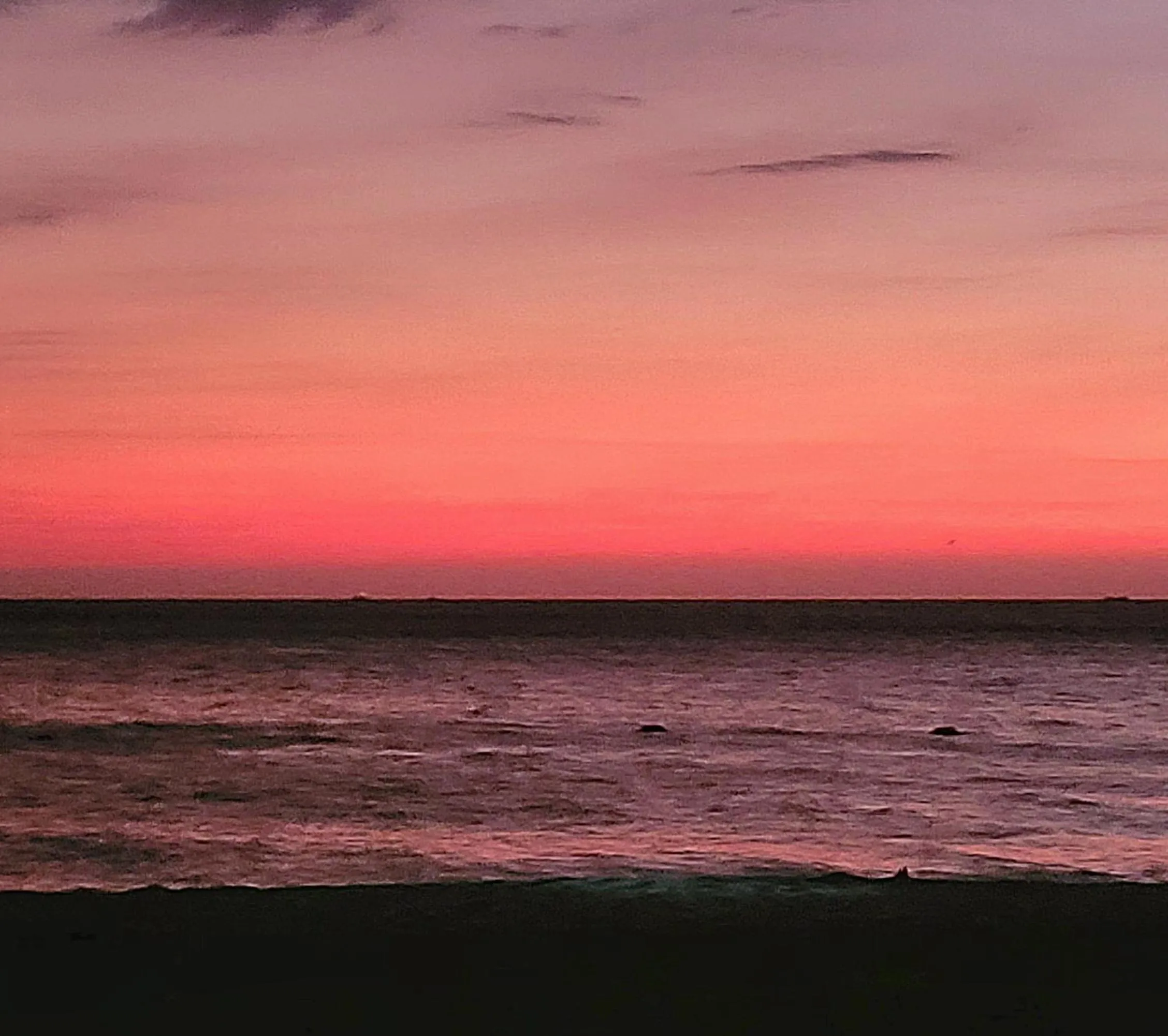 Natural landscape in Hotel Porto Horizonte suite 1426