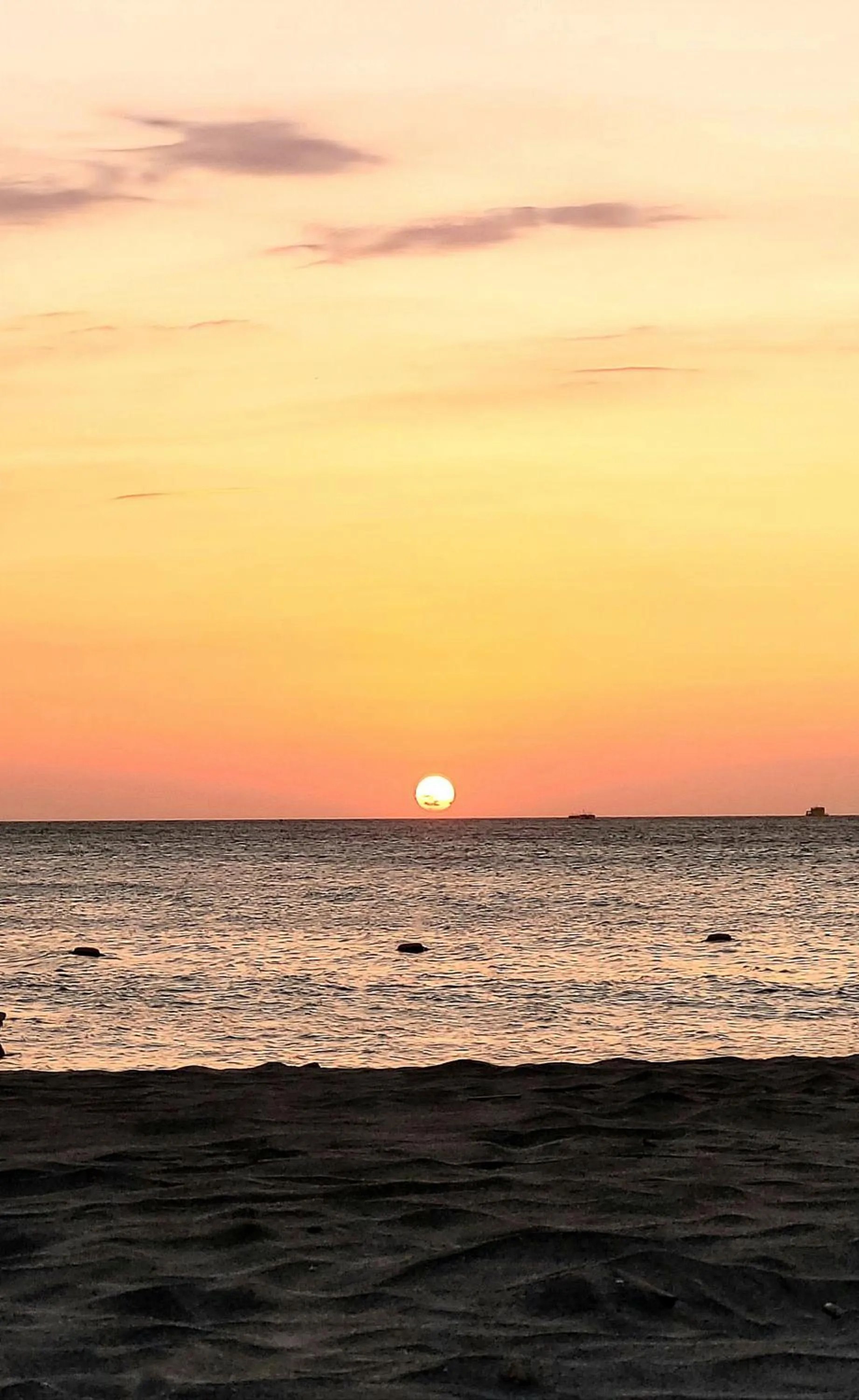 Natural landscape in Hotel Porto Horizonte suite 1426