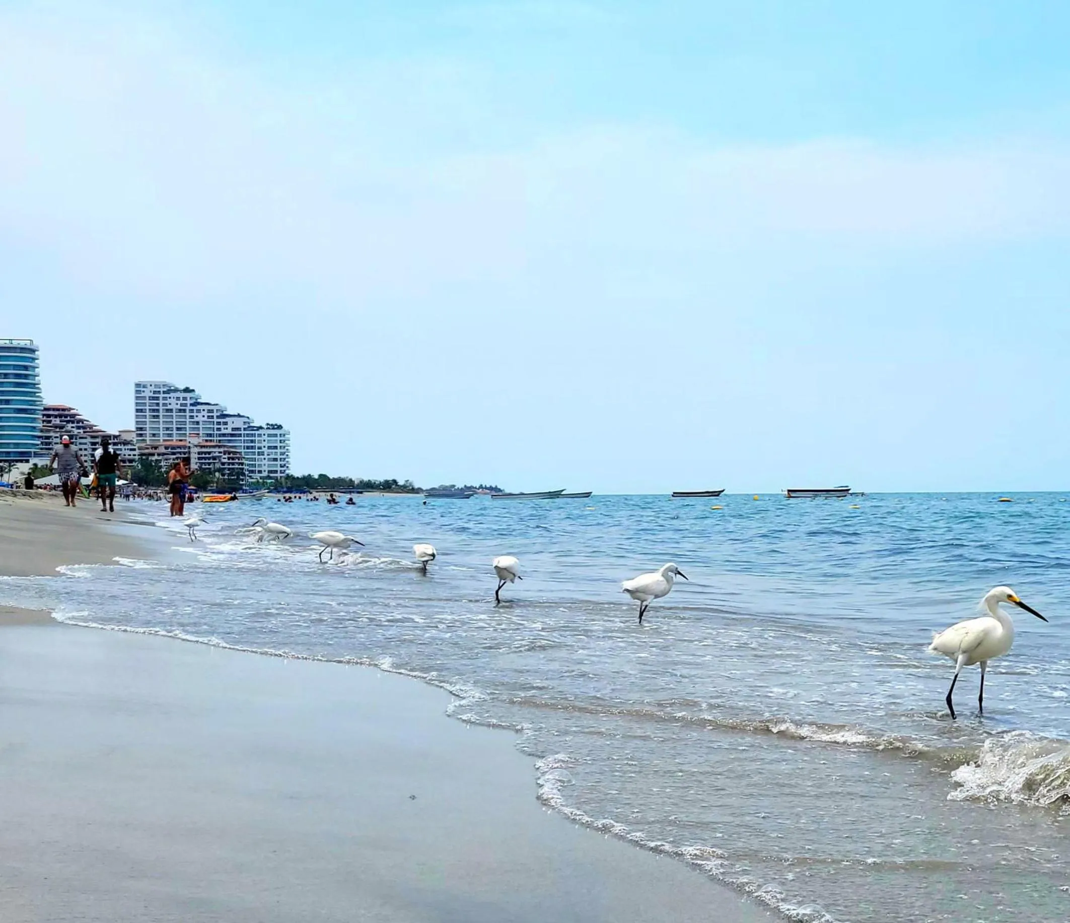 Beach in Hotel Porto Horizonte suite 1426