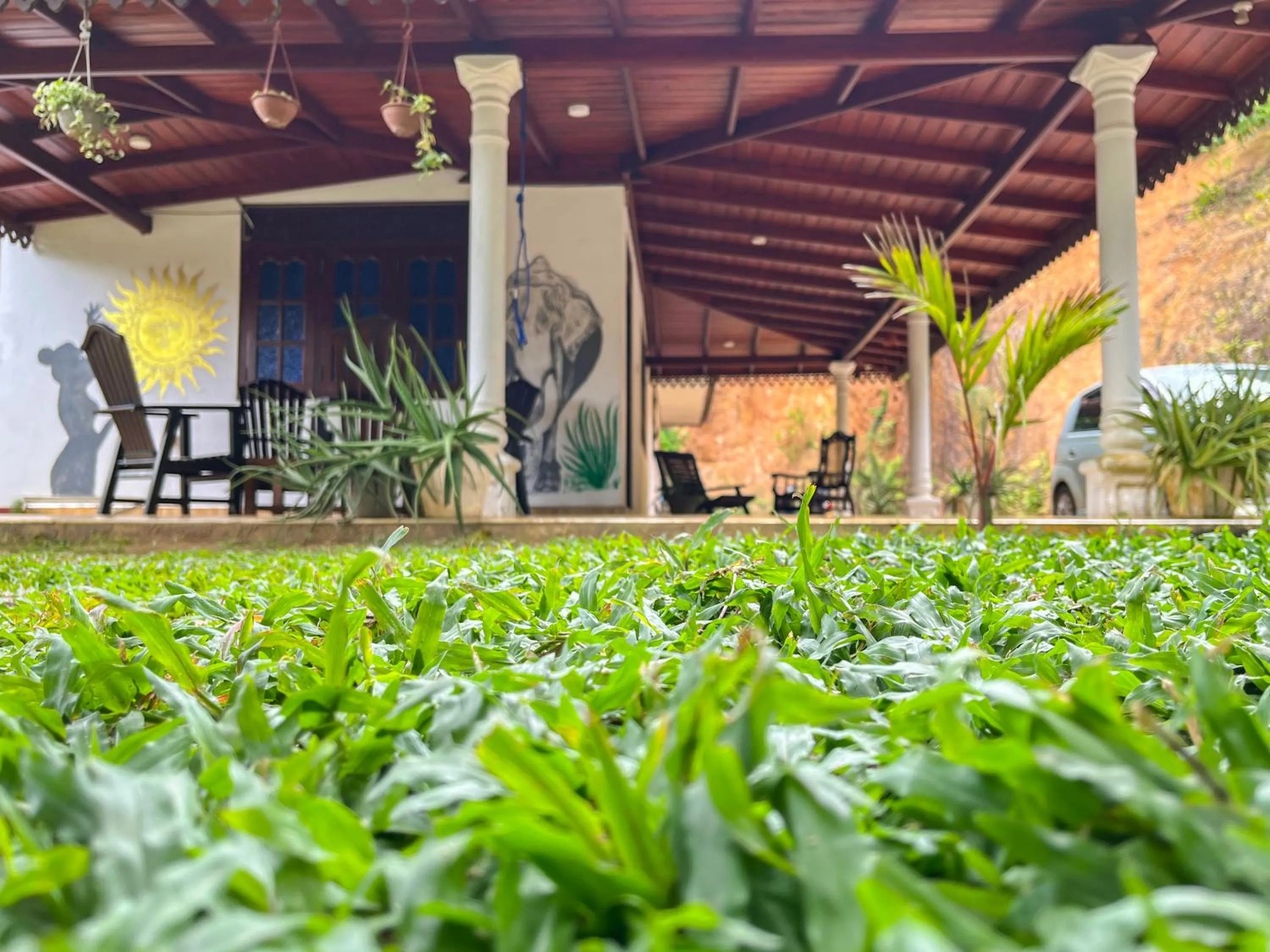 Natural landscape in Damith Tourist Inn