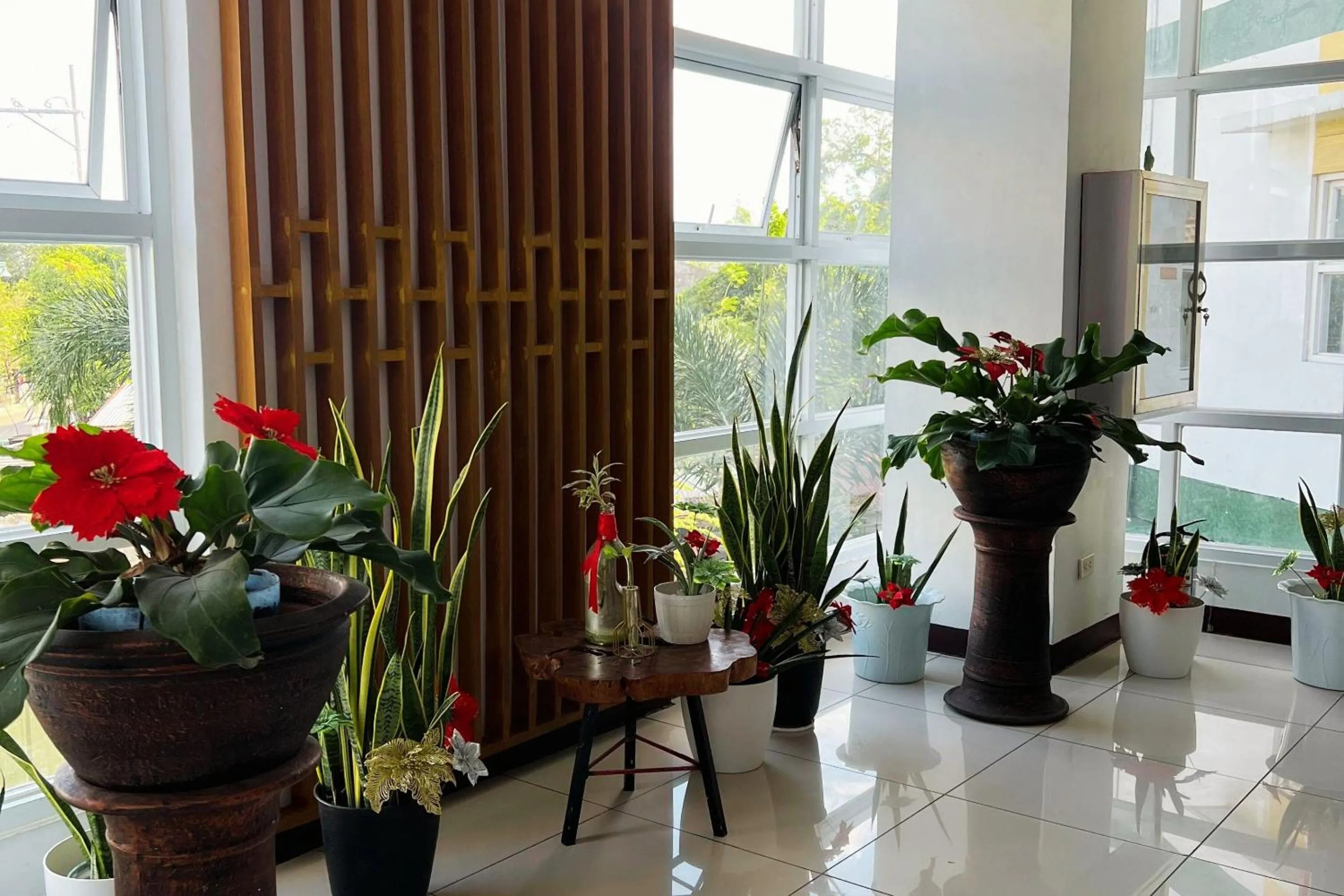 Guadalupe Inn Iloilo