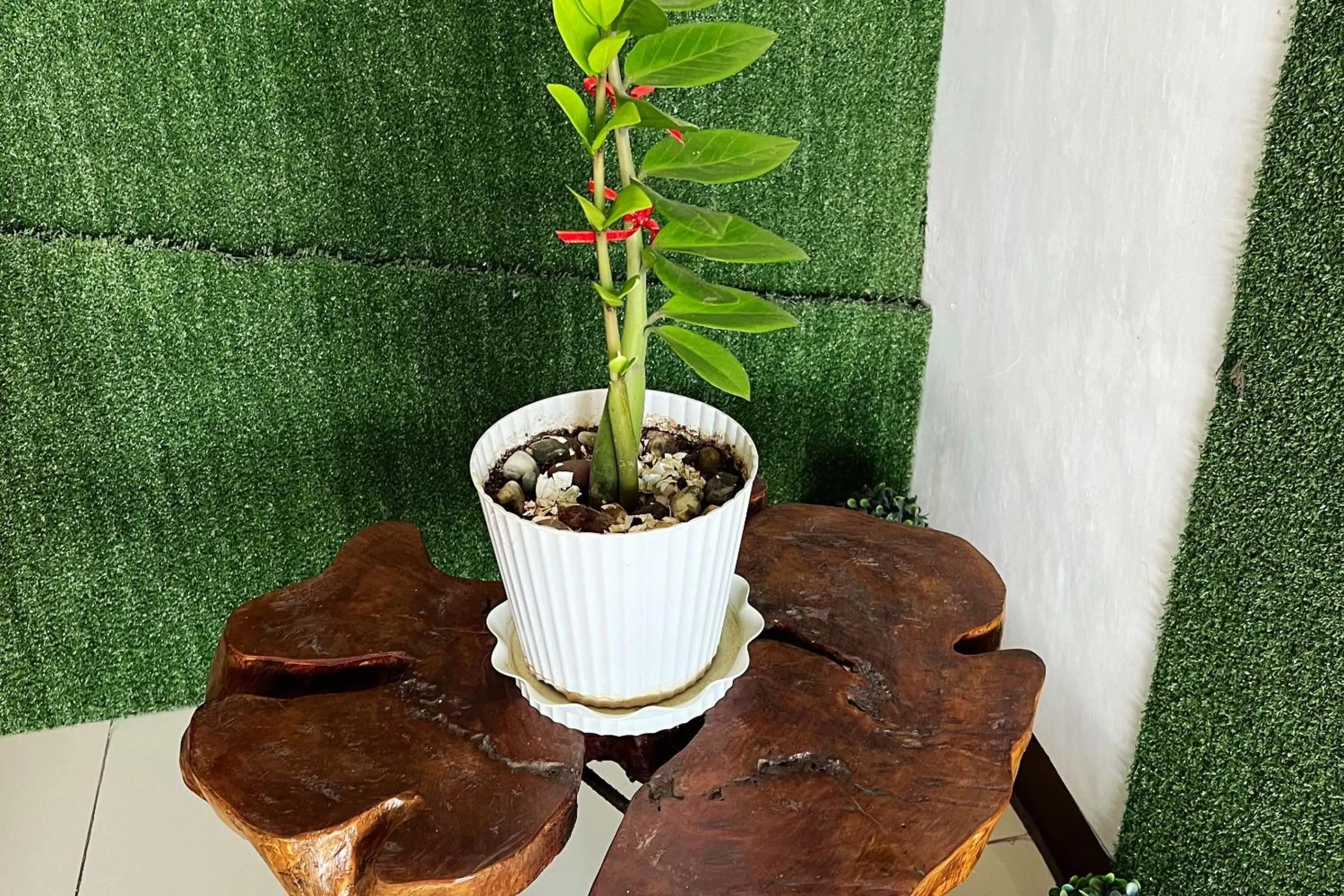 Guadalupe Inn Iloilo