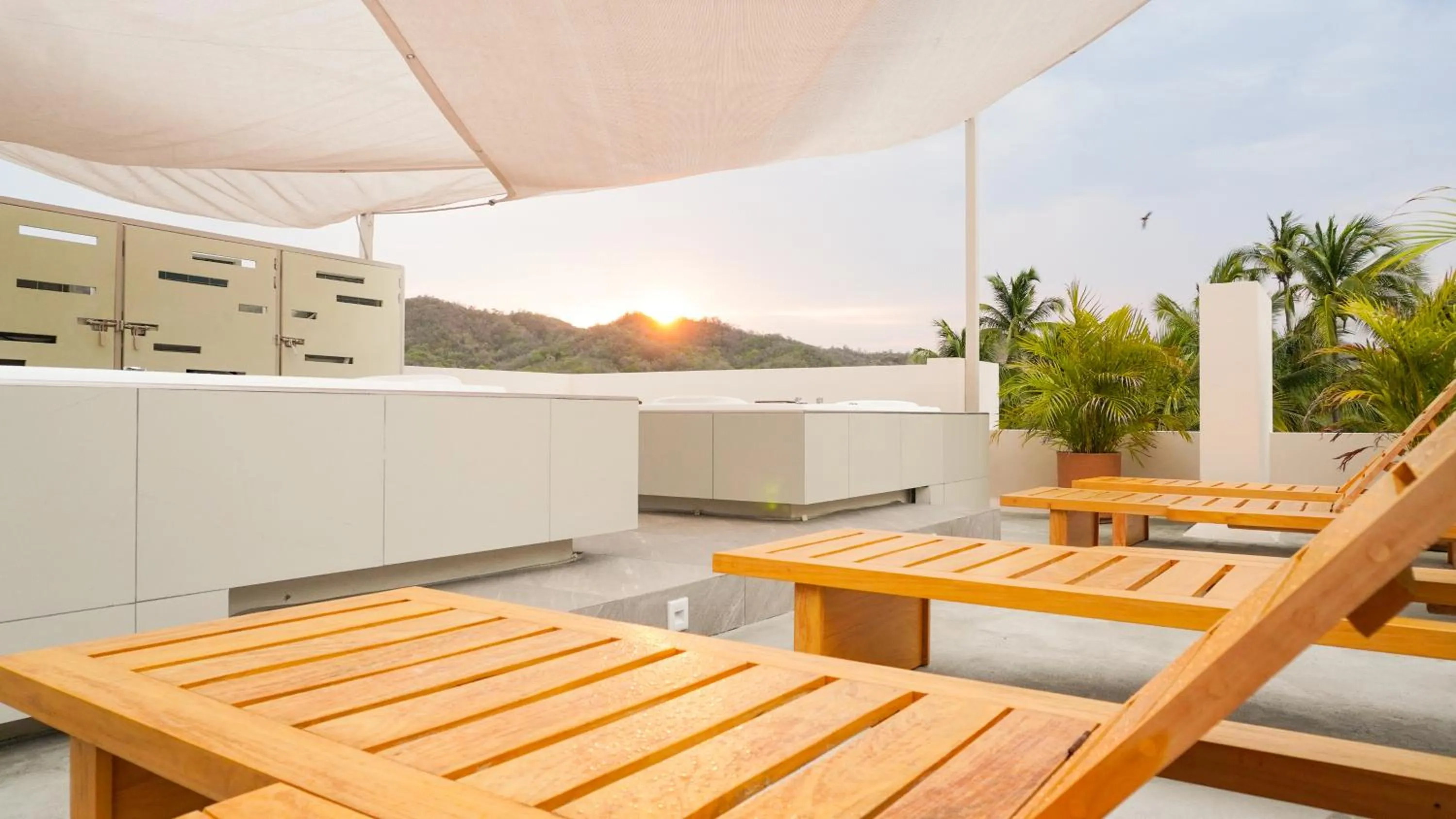 Balcony/Terrace in Hotel Tepalcates