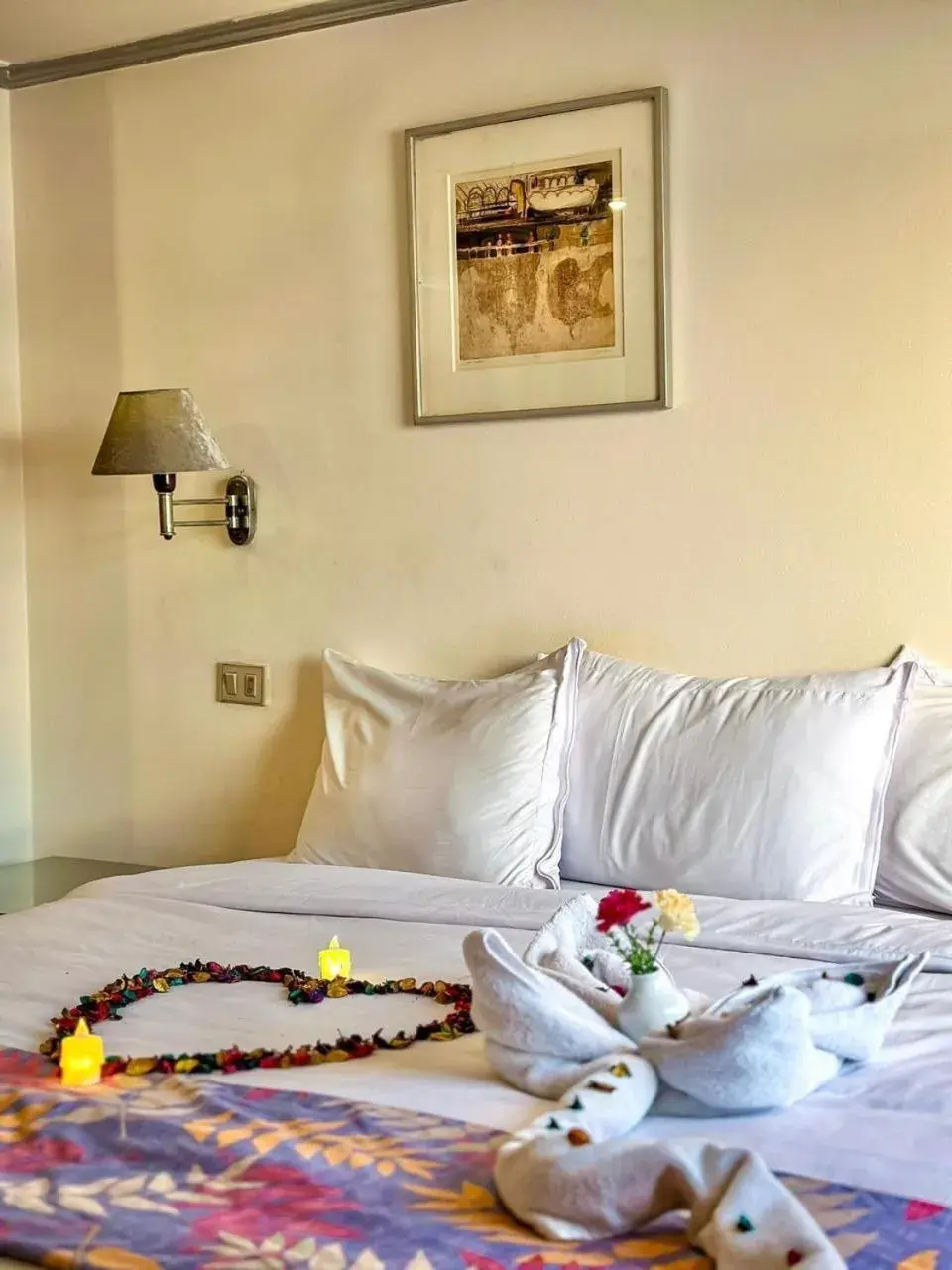 Single Room in Nile View Aton Cruise Single Room in Nile View Aton Cruise