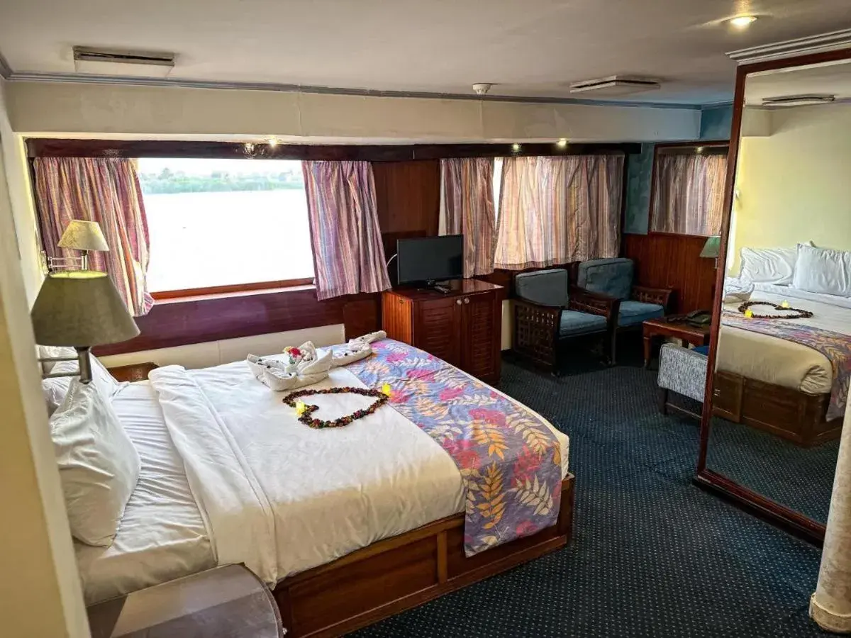 Single Room in Nile View Aton Cruise Single Room in Nile View Aton Cruise
