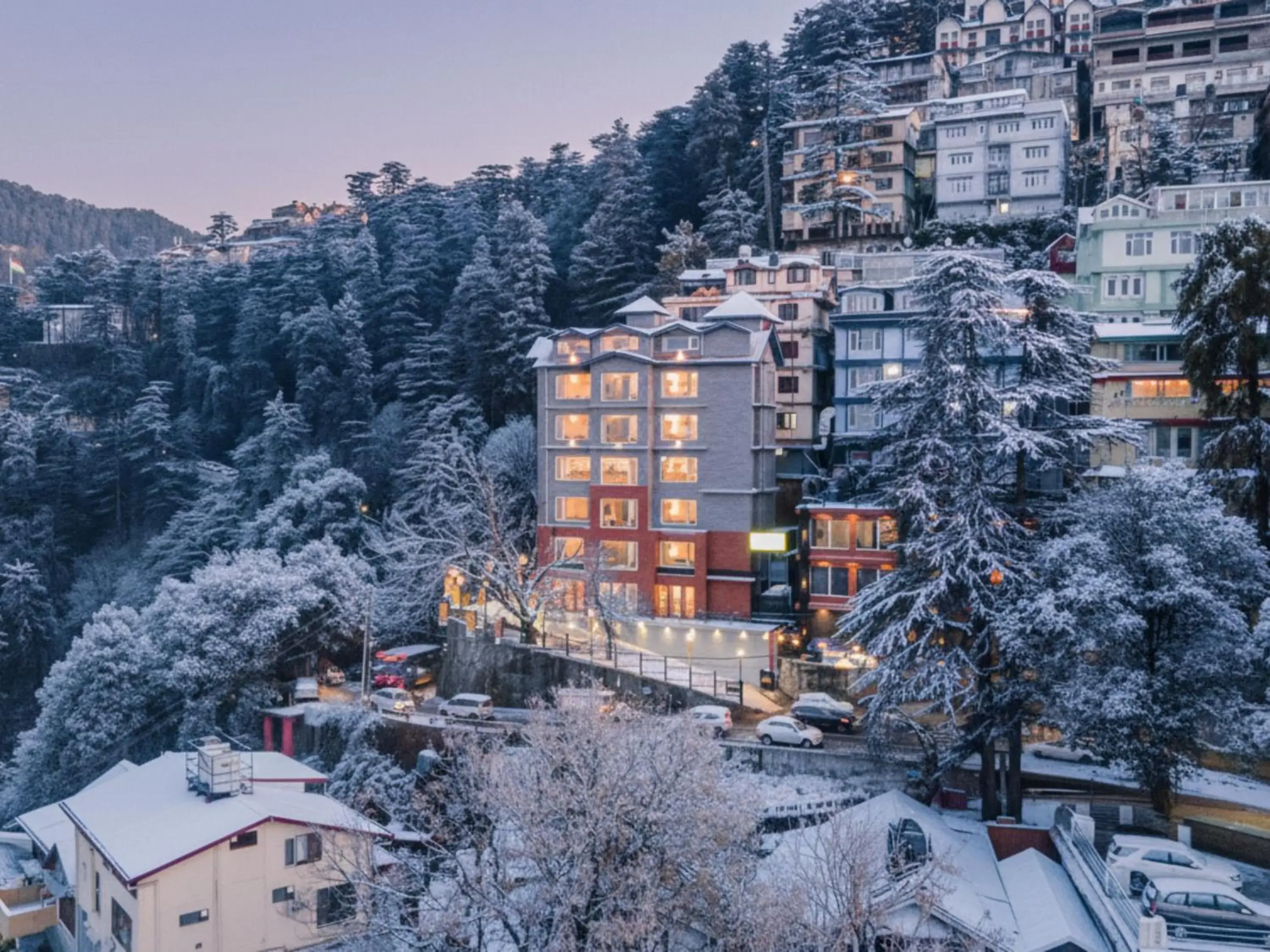 The Hosteller Shimla, Valley View The Hosteller Shimla, Valley View