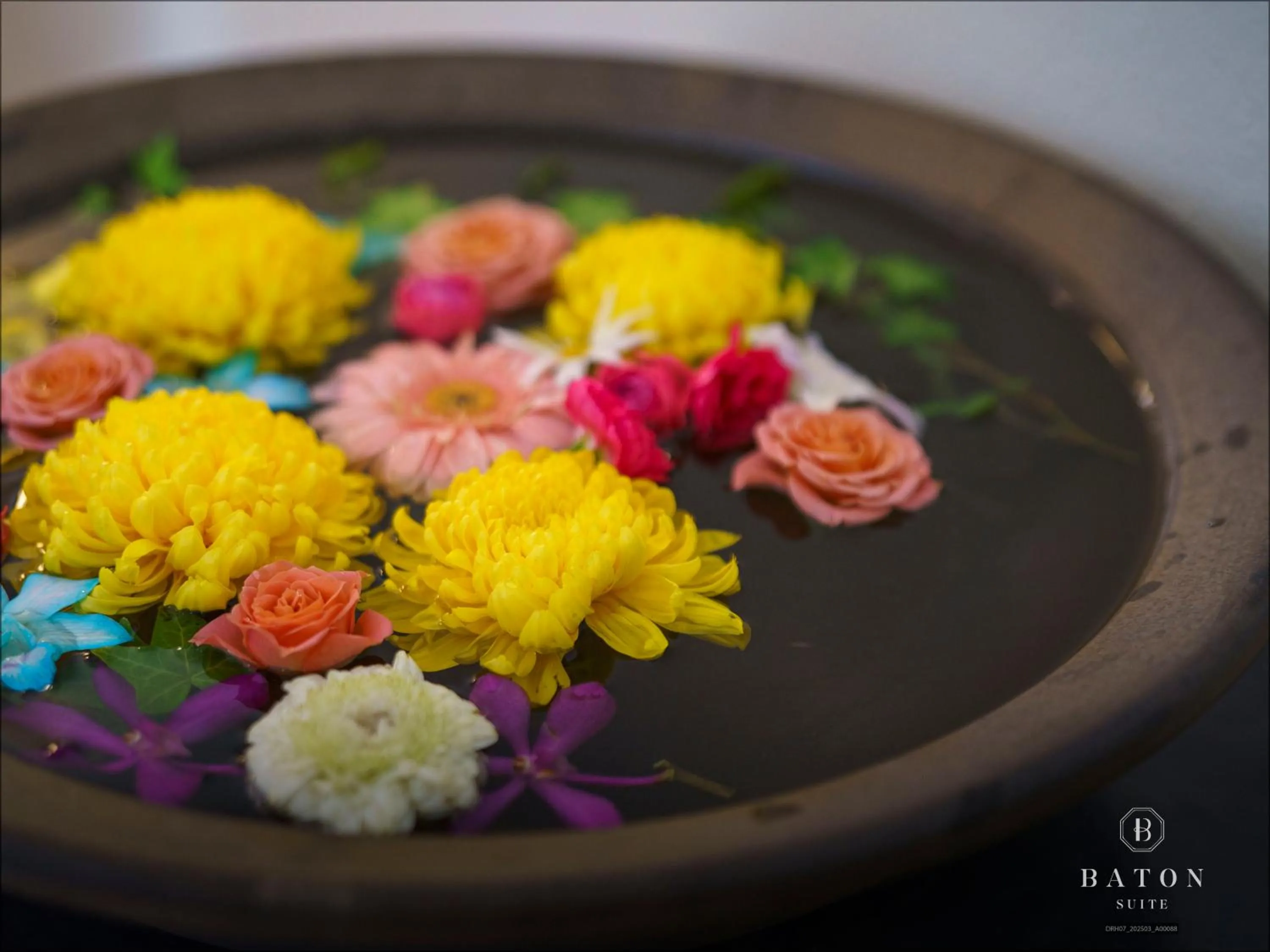 Area and facilities in BATON SUITE Okinawa-kourijima