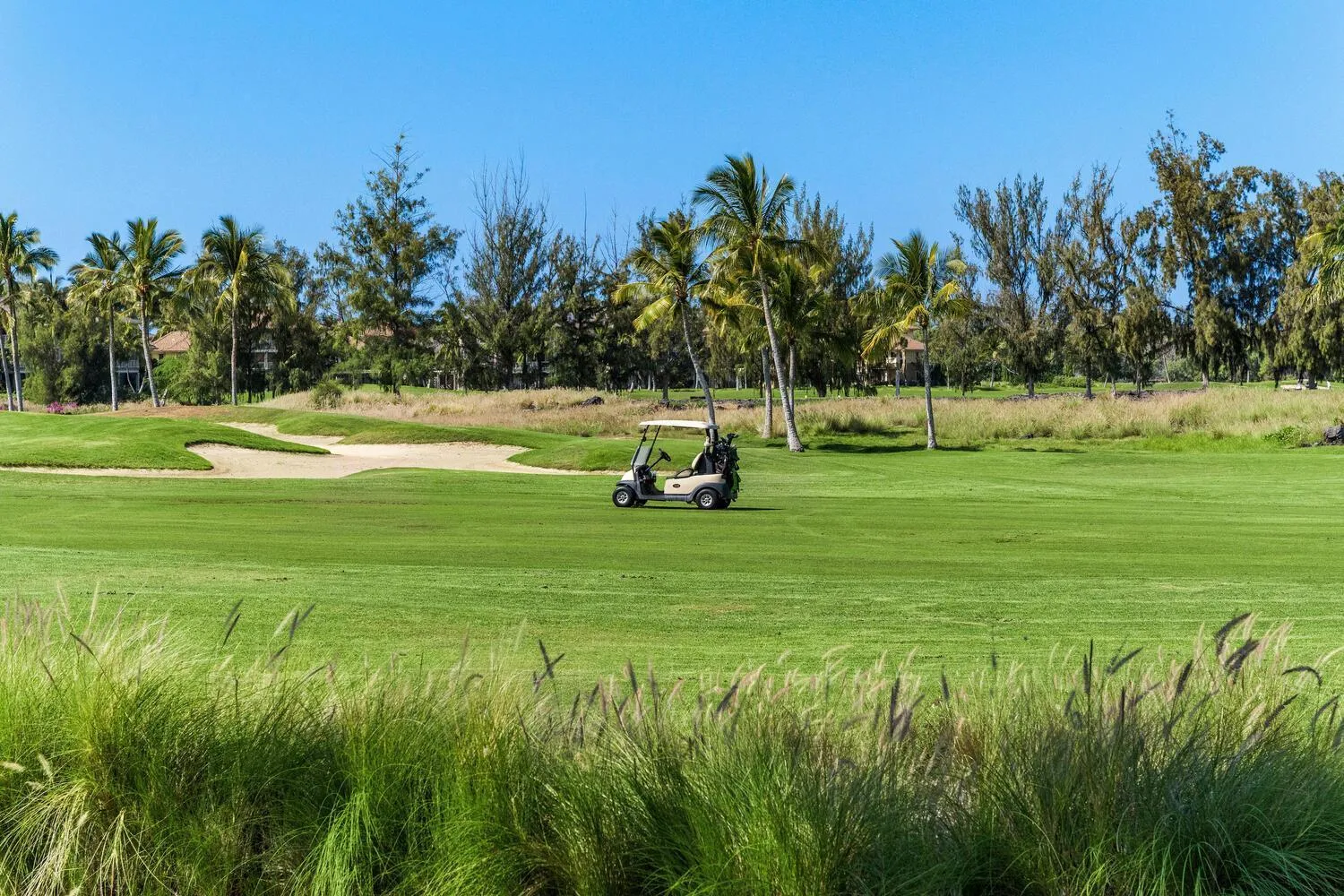 Waikoloa Beach Villas F32