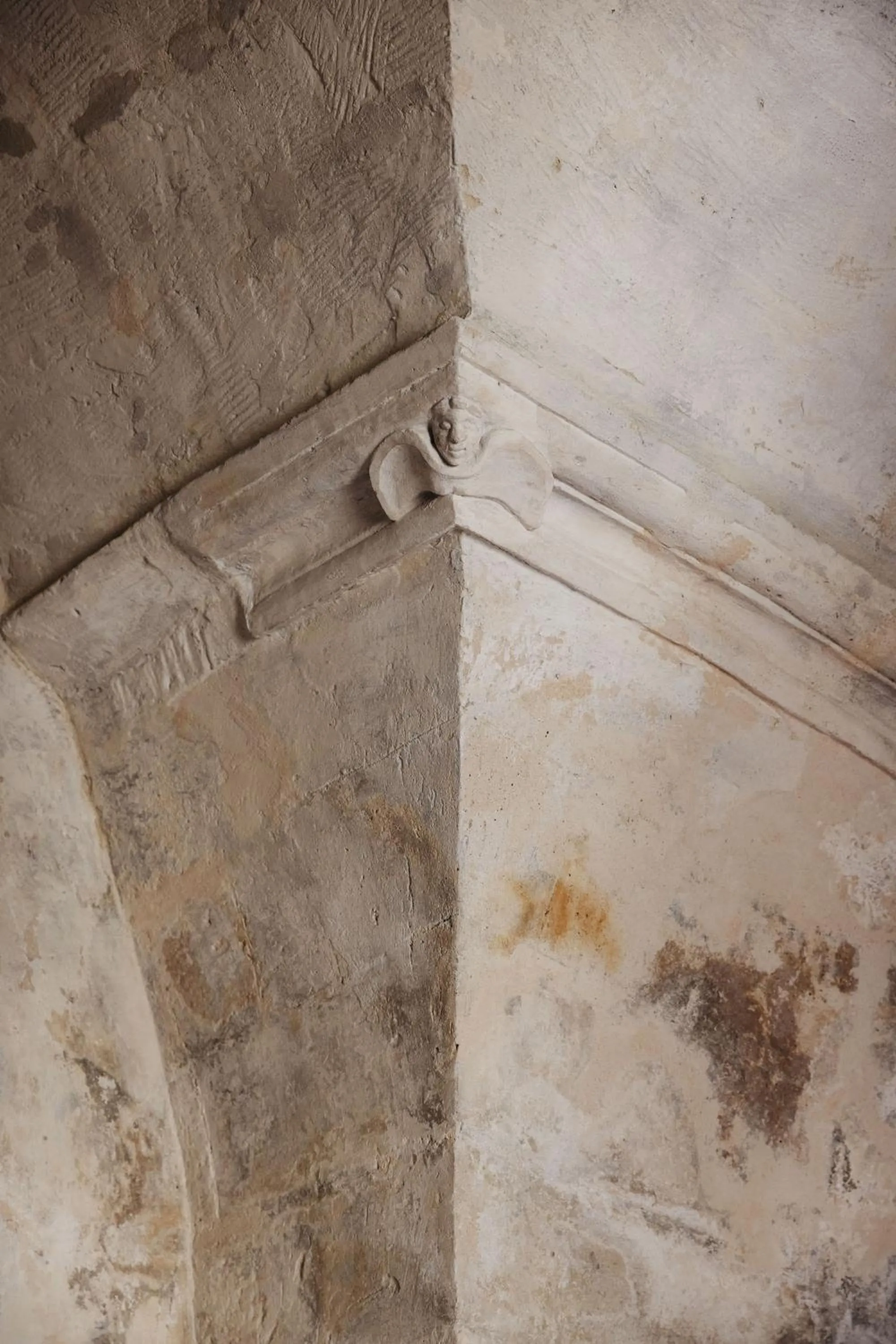 Decorative detail in Vetera Matera