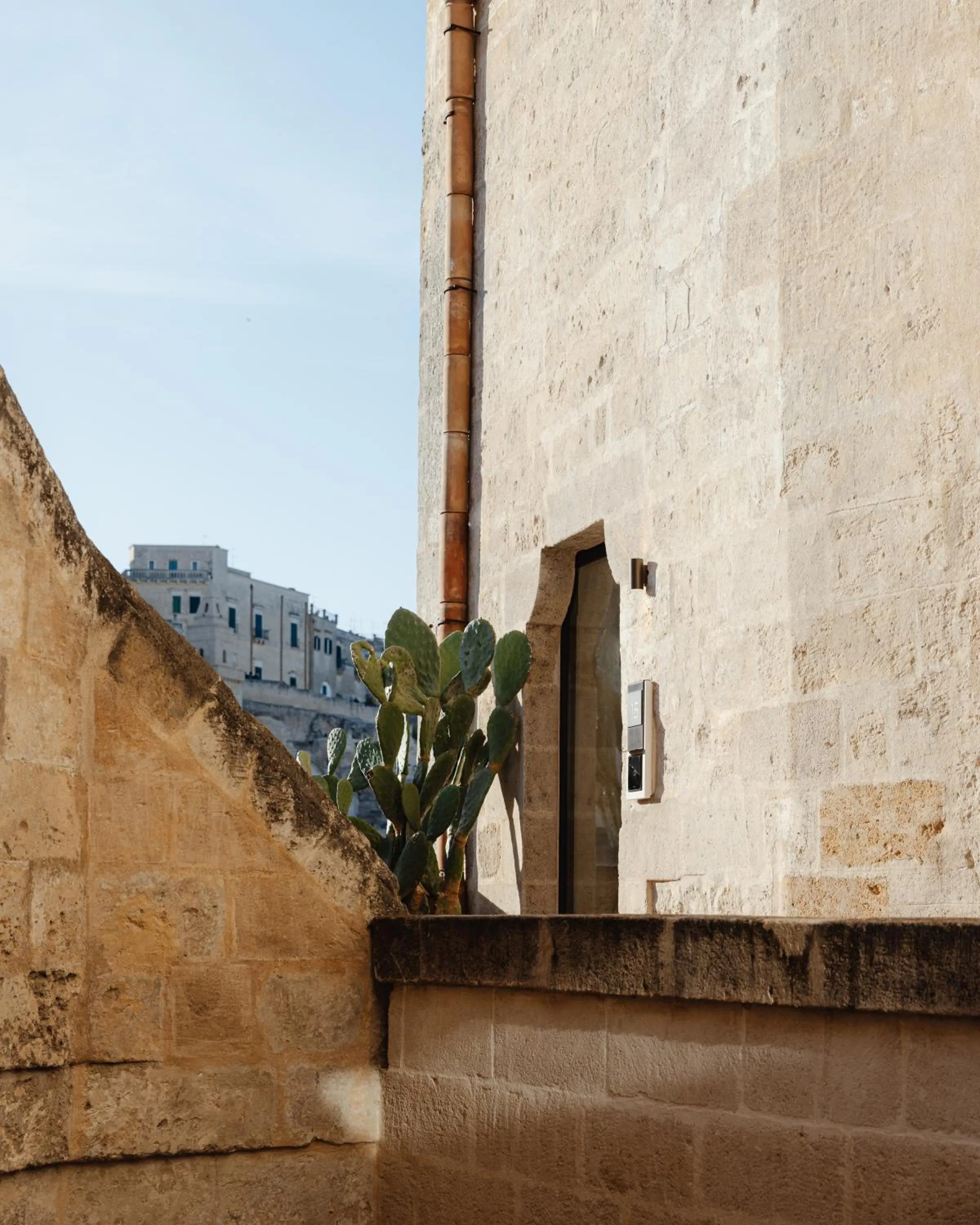 Natural landscape in Vetera Matera