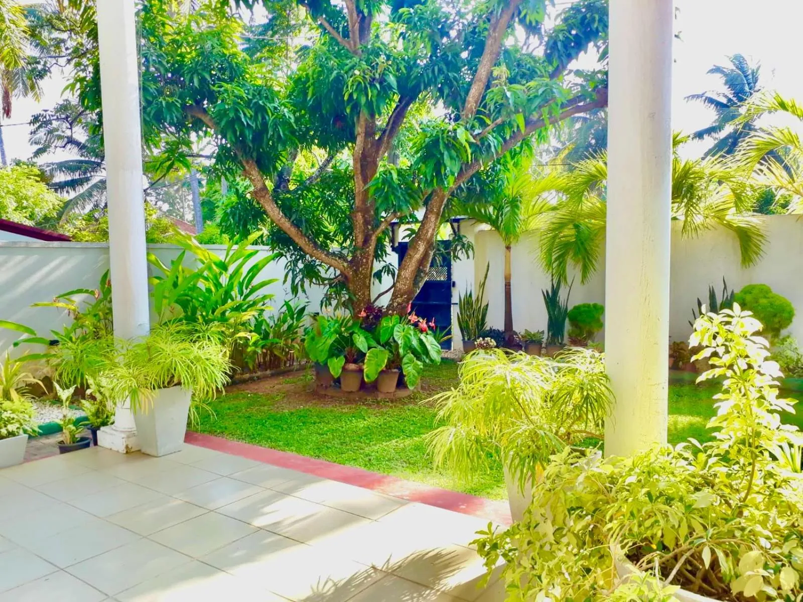 Garden view in Ama Villa Negombo