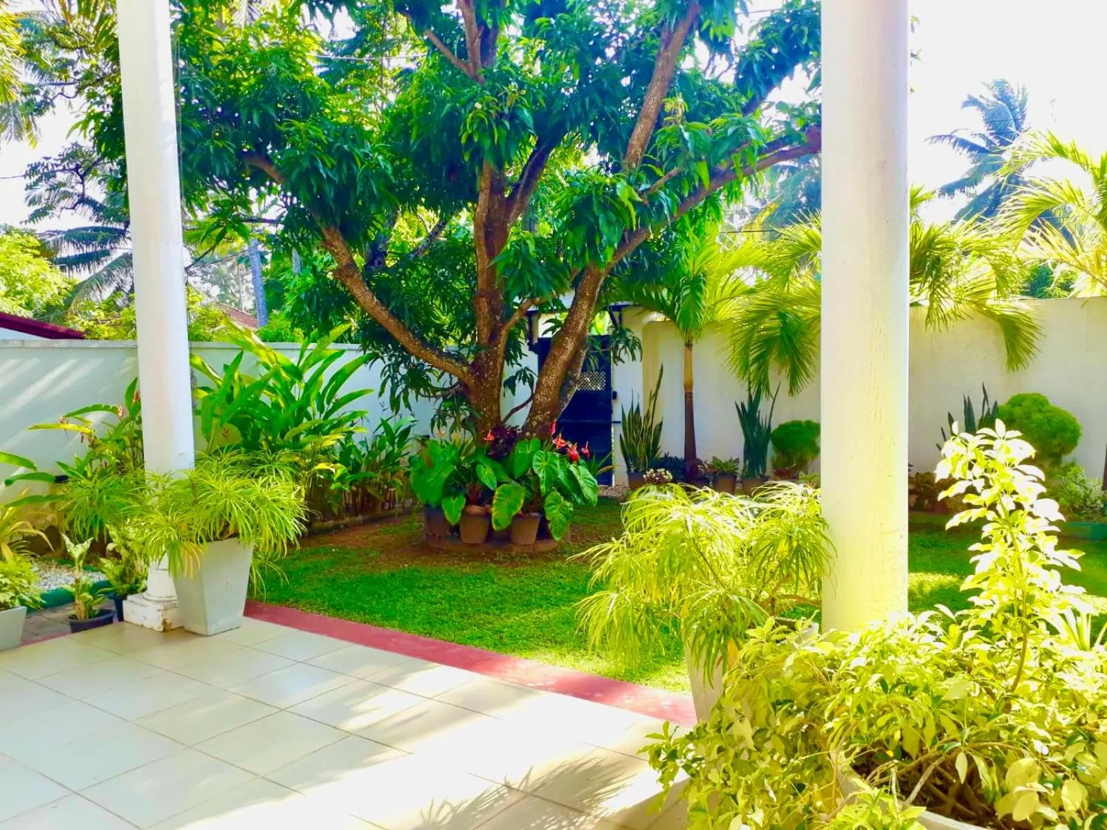 Inner courtyard view in Ama Villa Negombo