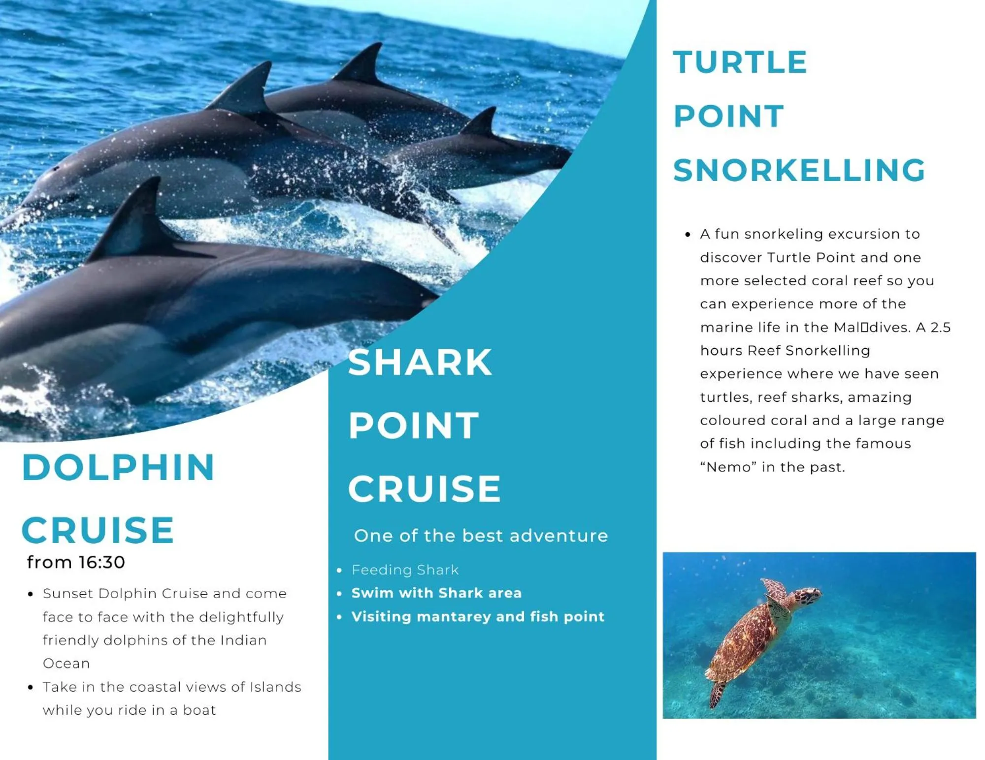 Activities in Dhiffushi Tourist Hotel