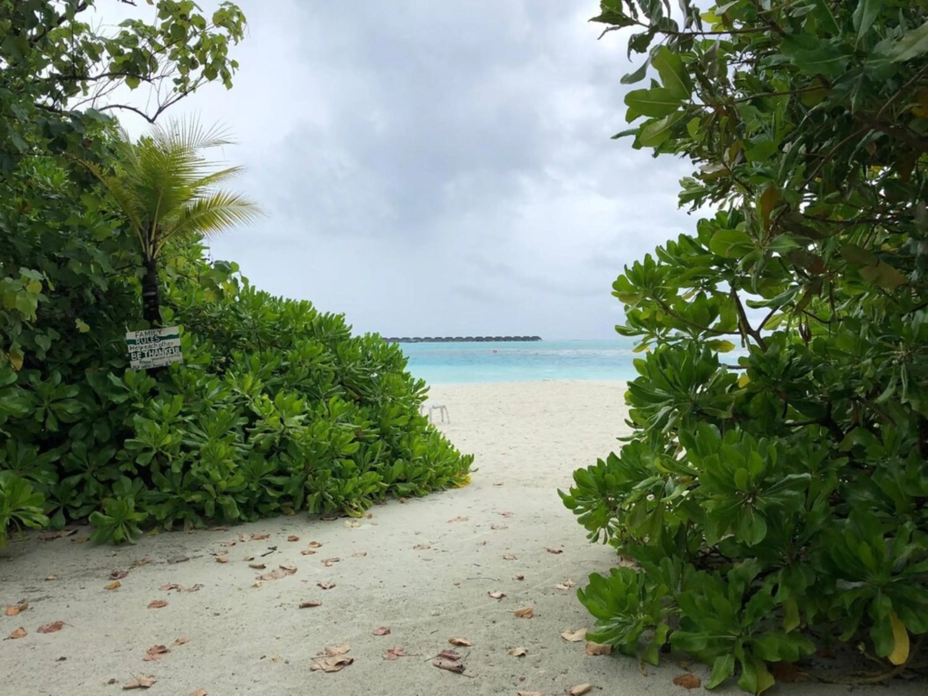 Garden in Dhiffushi Tourist Hotel