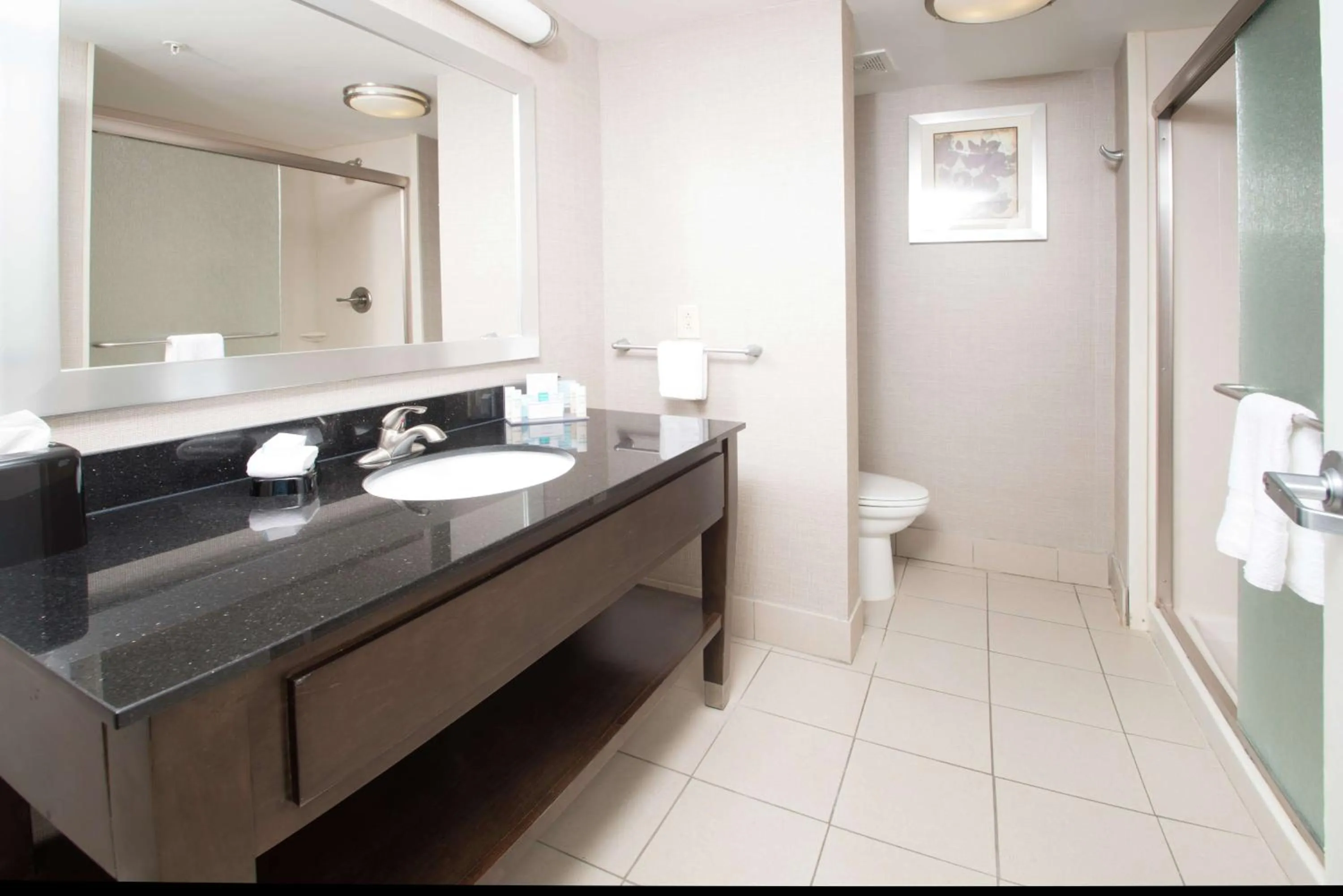 Bathroom in Hampton Inn Hernando, MS