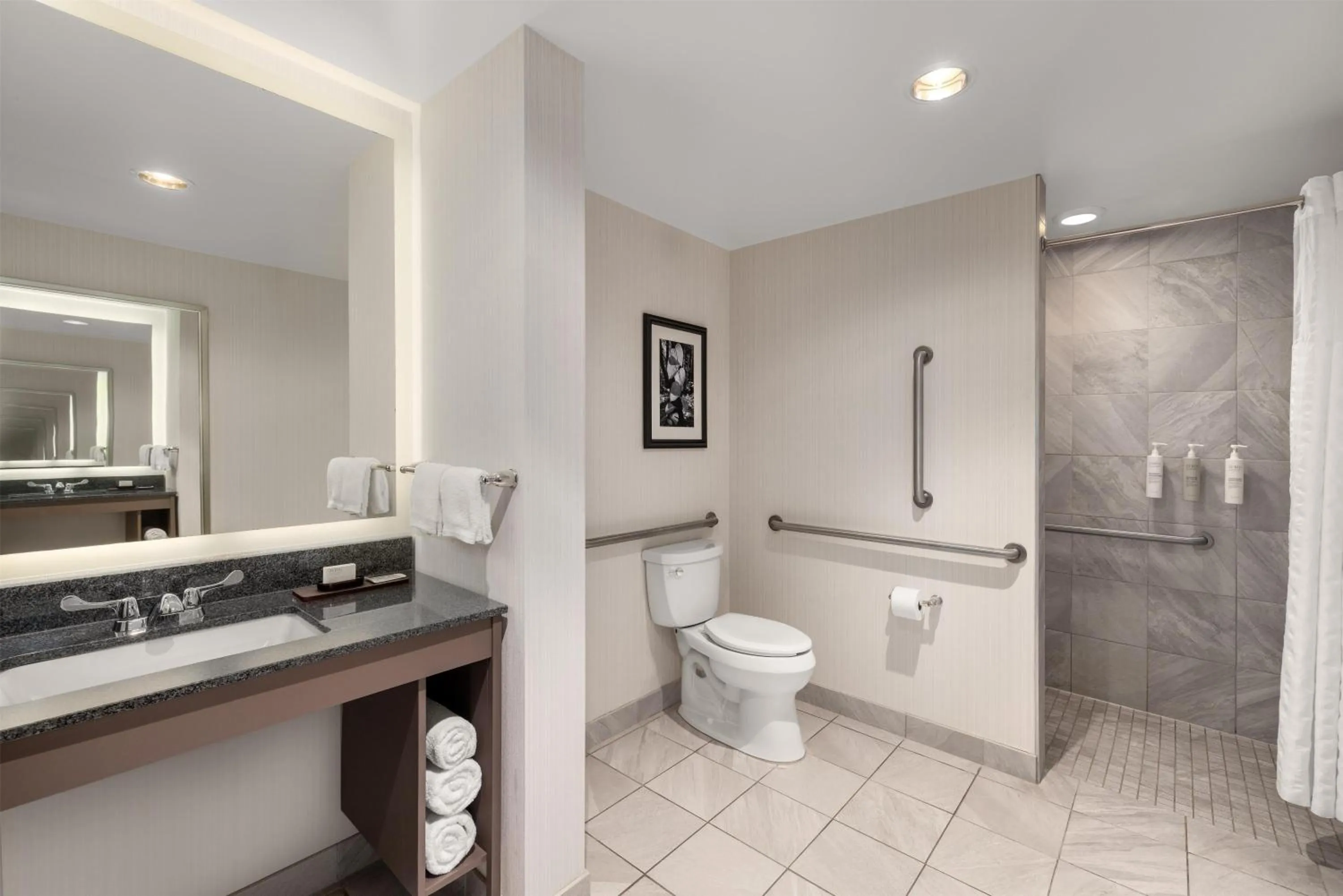 Bathroom in Embassy Suites Charlotte/Ayrsley