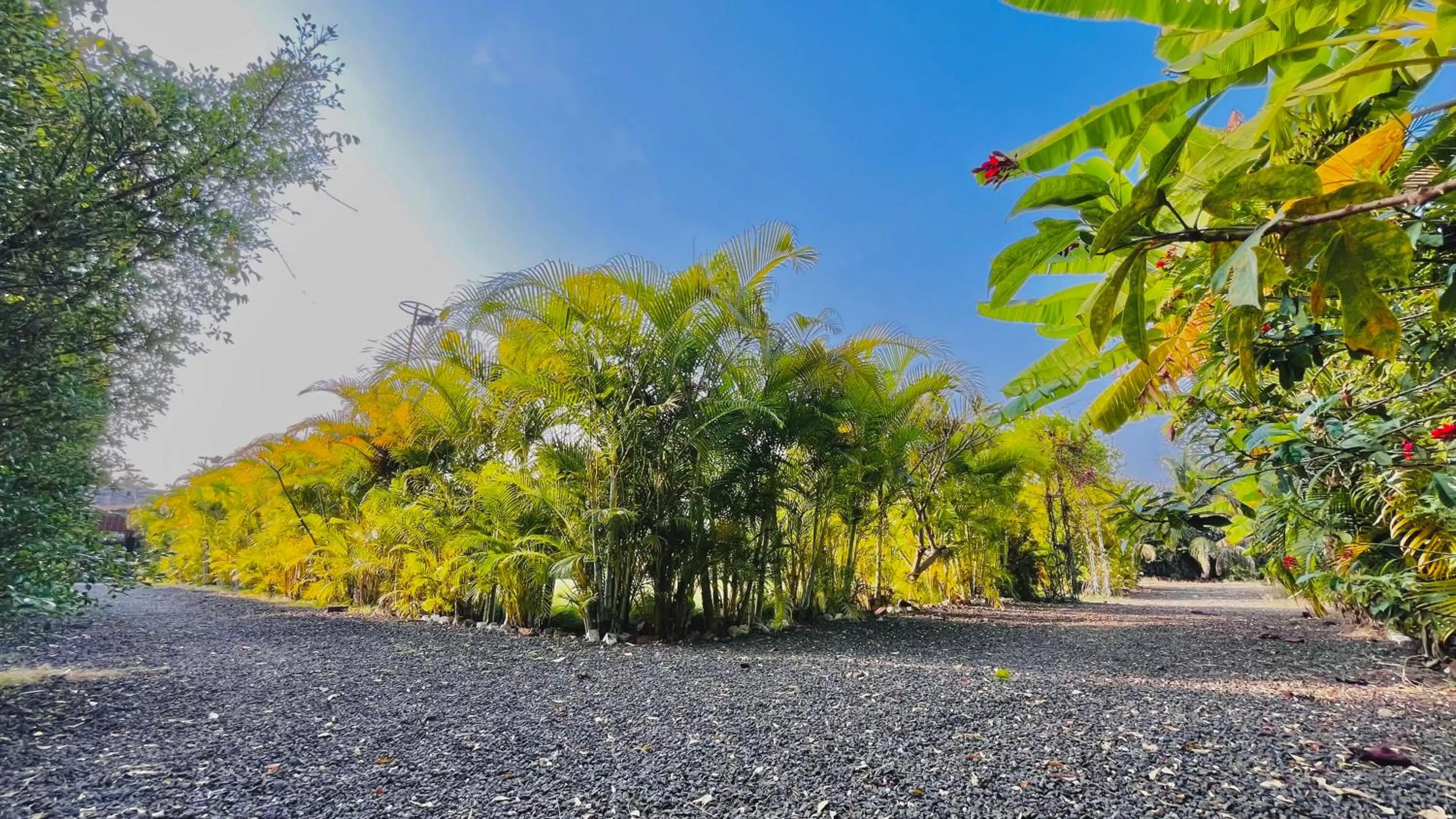 Natural landscape in YUGANNKURR farmhouse
