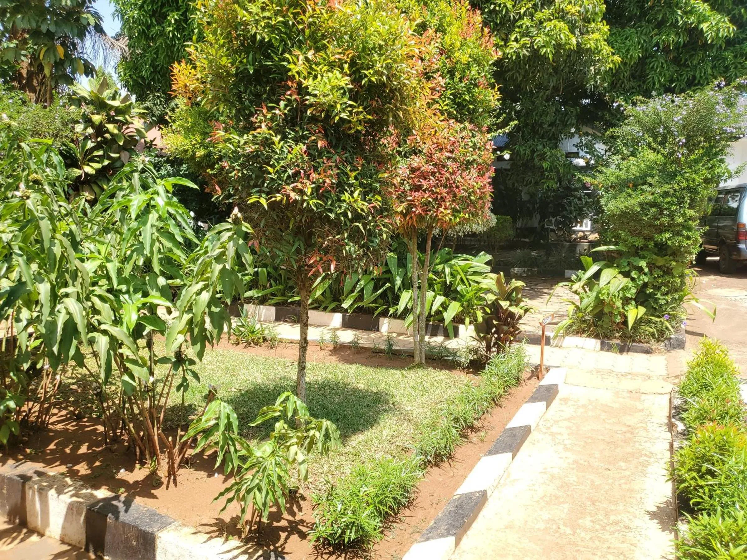 Natural landscape in Gorilla African Guest House