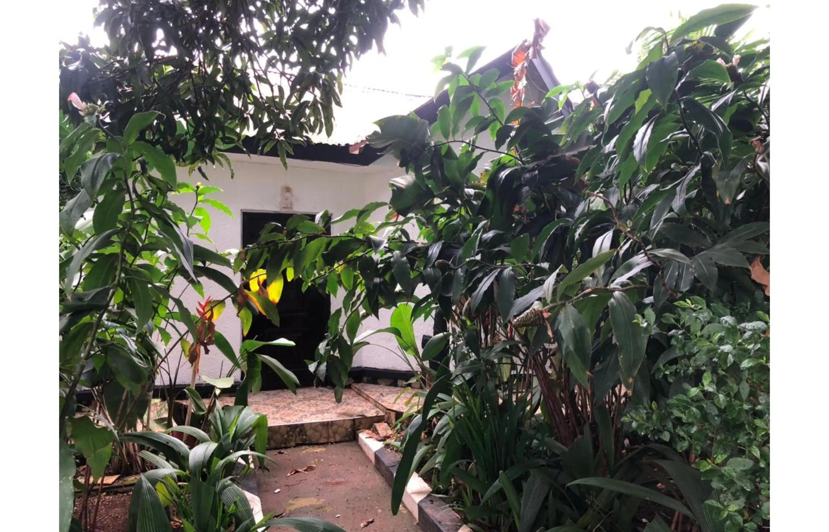 Property building in Gorilla African Guest House