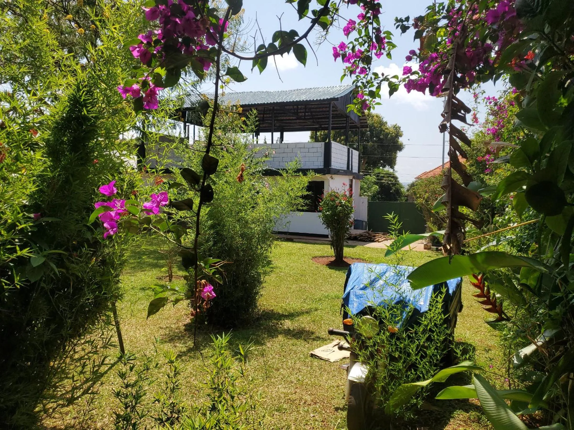 Garden in Gorilla African Guest House