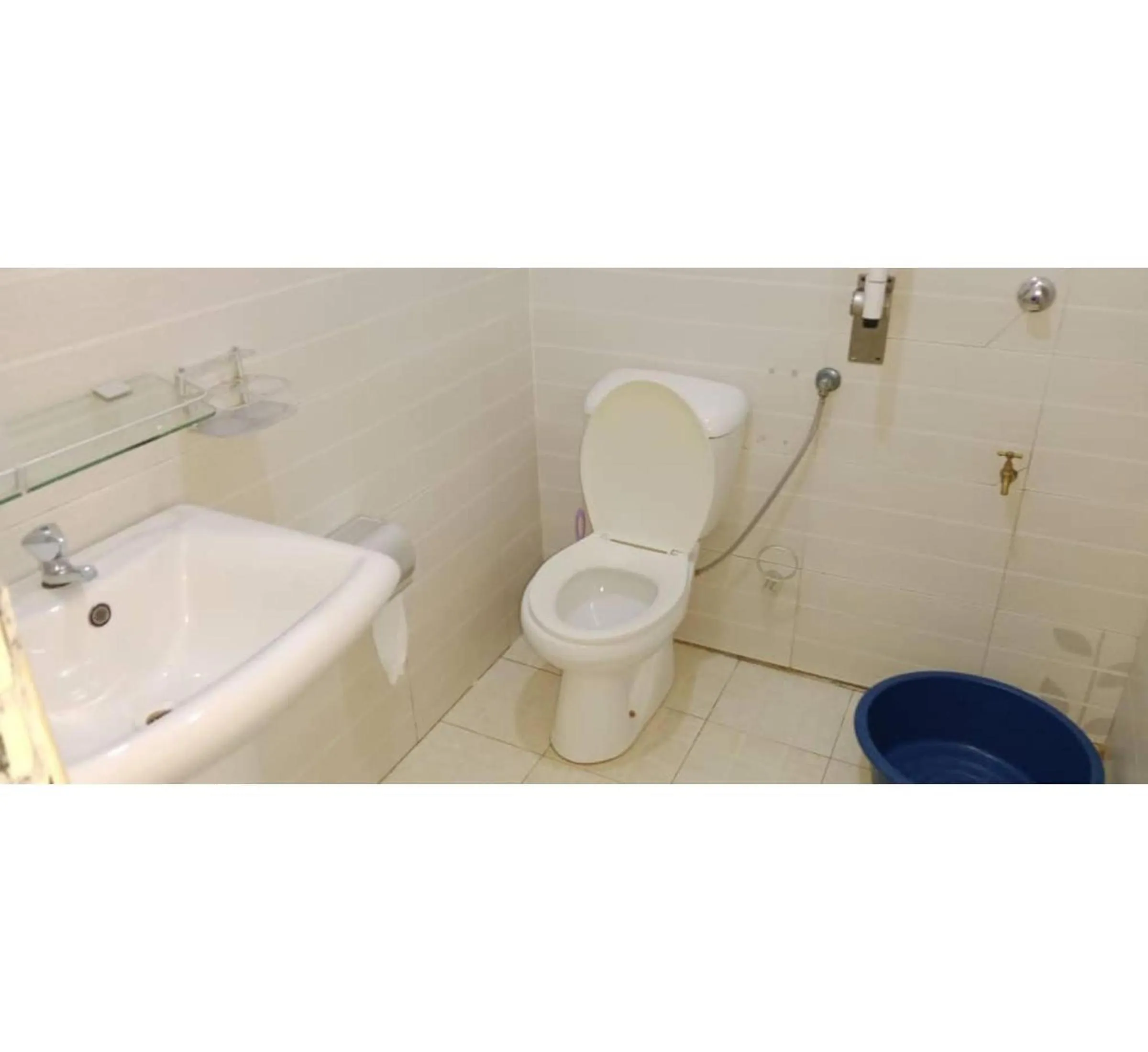 Shower in Gorilla African Guest House