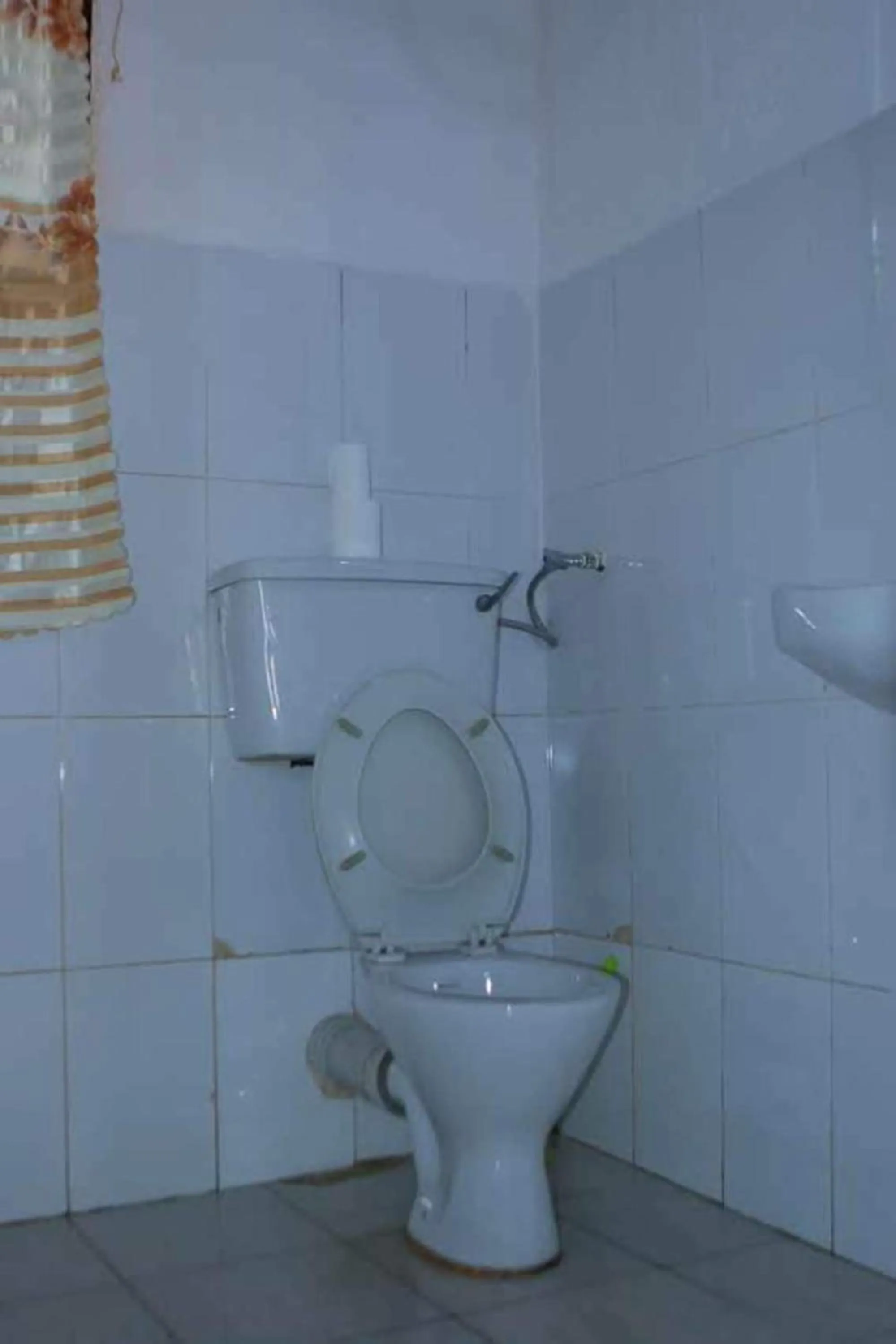 Toilet in Gorilla African Guest House