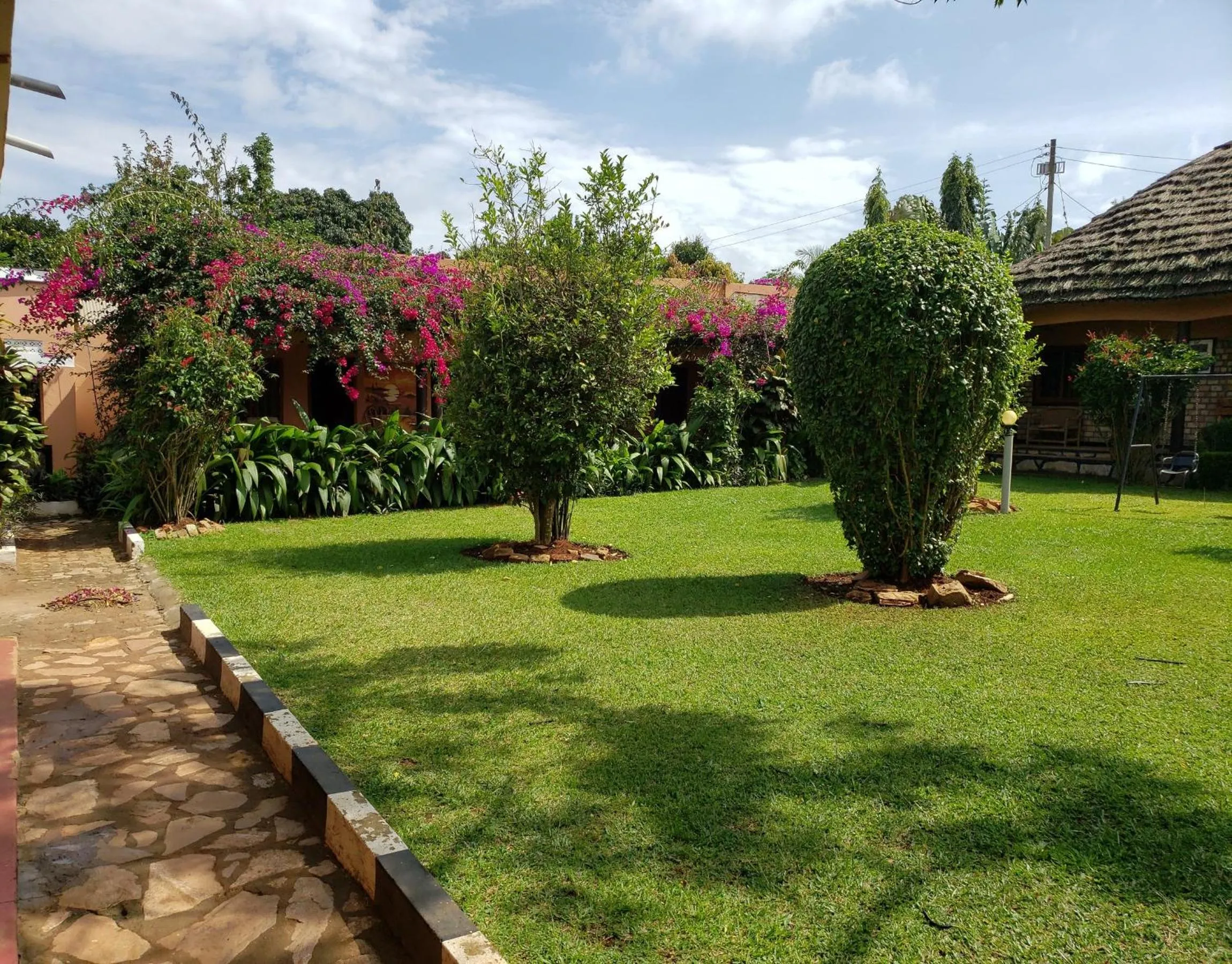Garden in Gorilla African Guest House