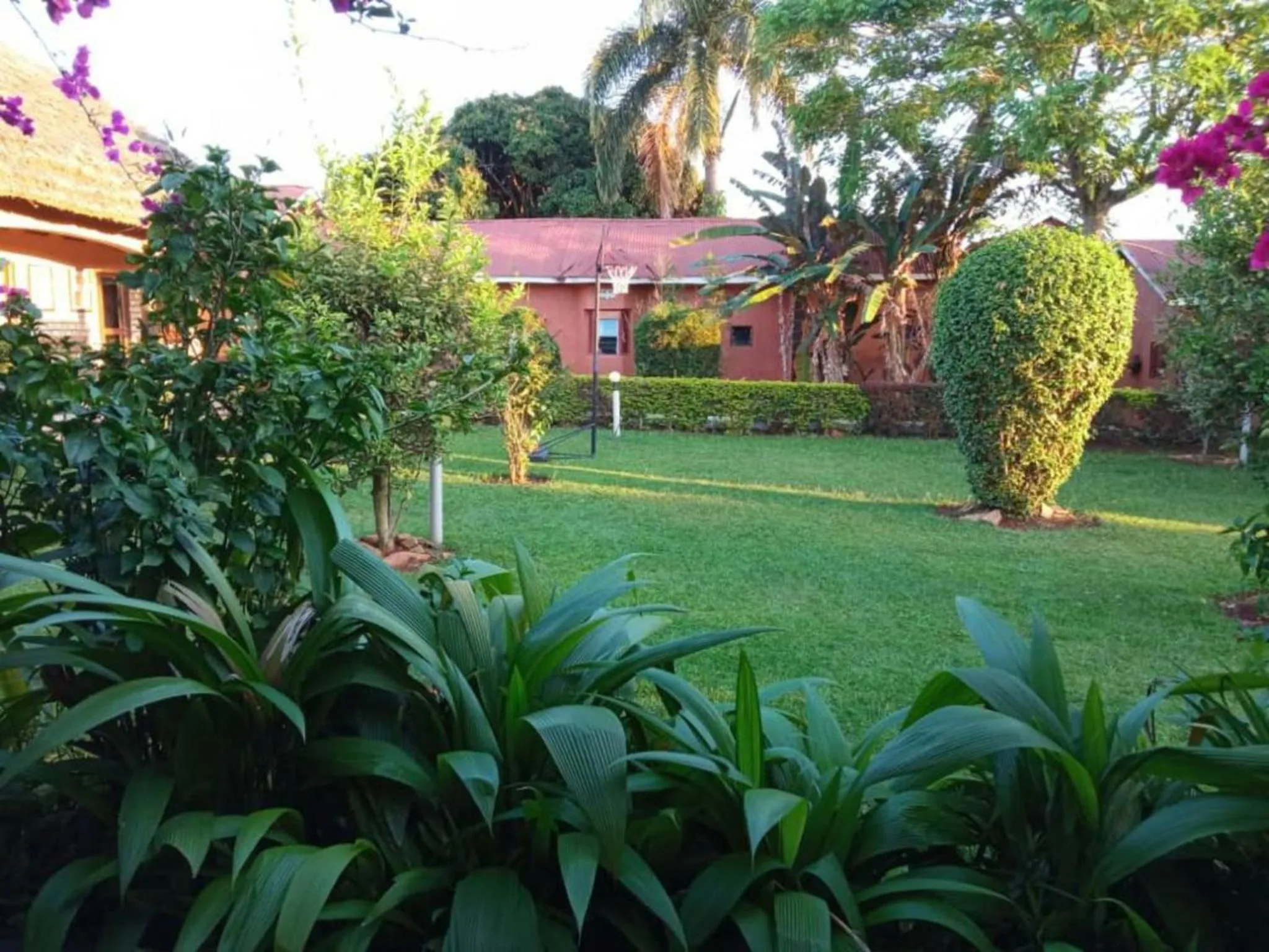 Property building in Gorilla African Guest House
