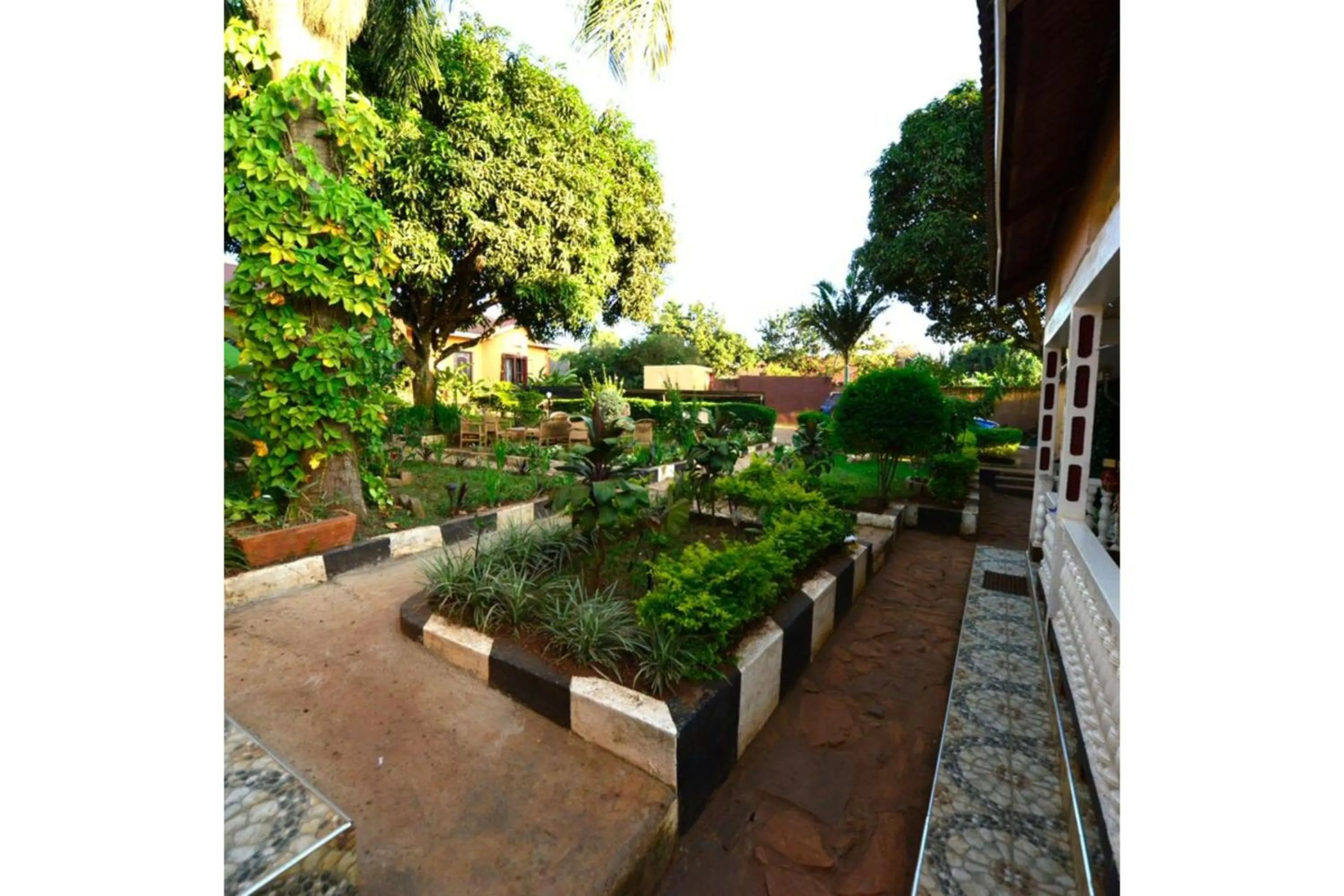 Garden in Gorilla African Guest House