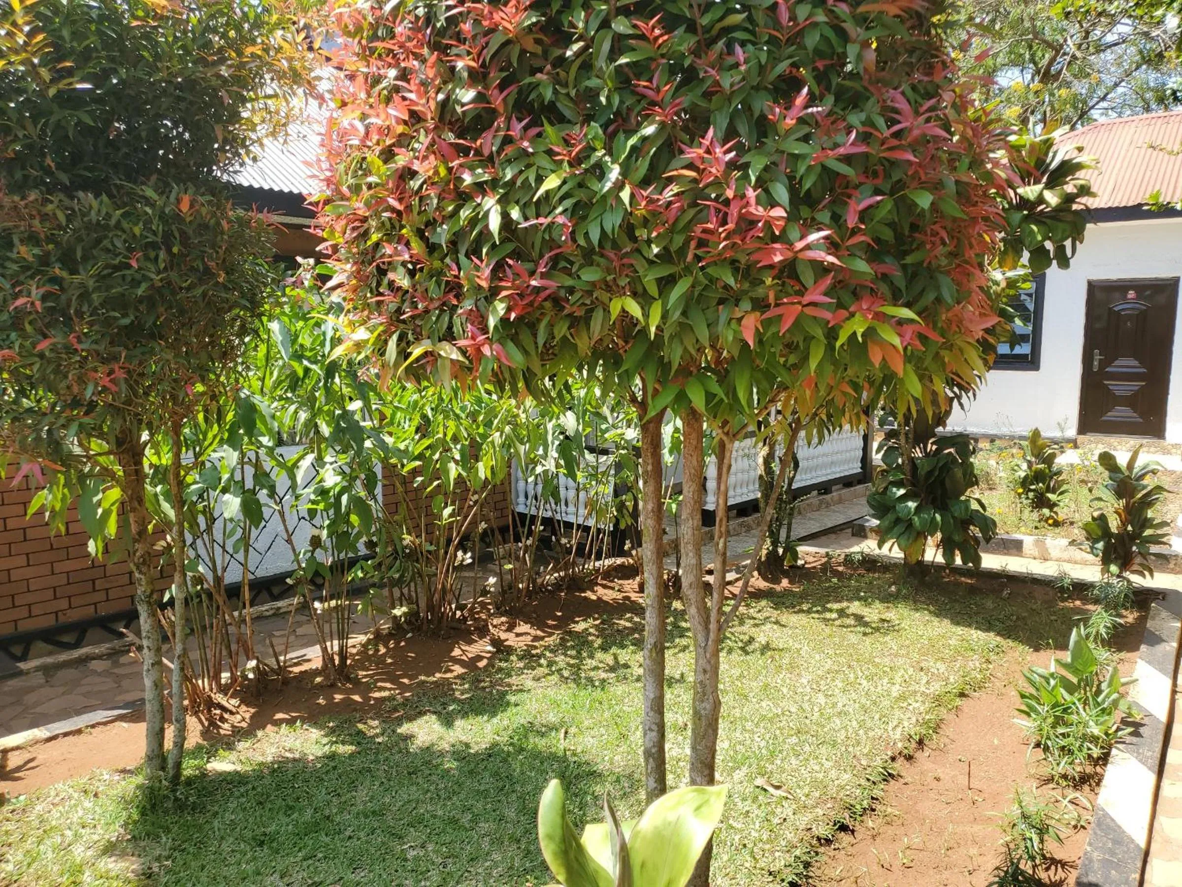 Property building in Gorilla African Guest House