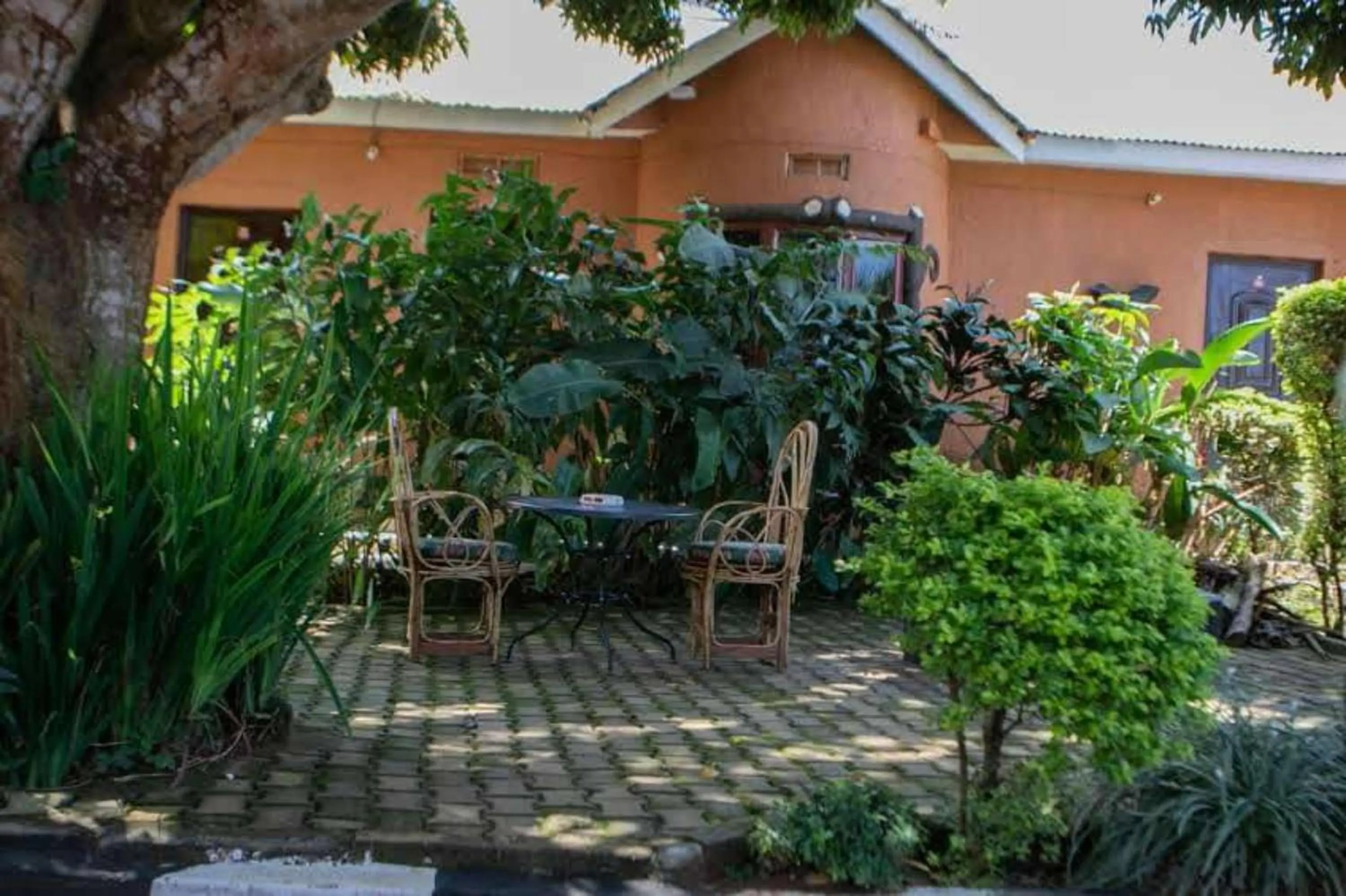 Property building in Gorilla African Guest House