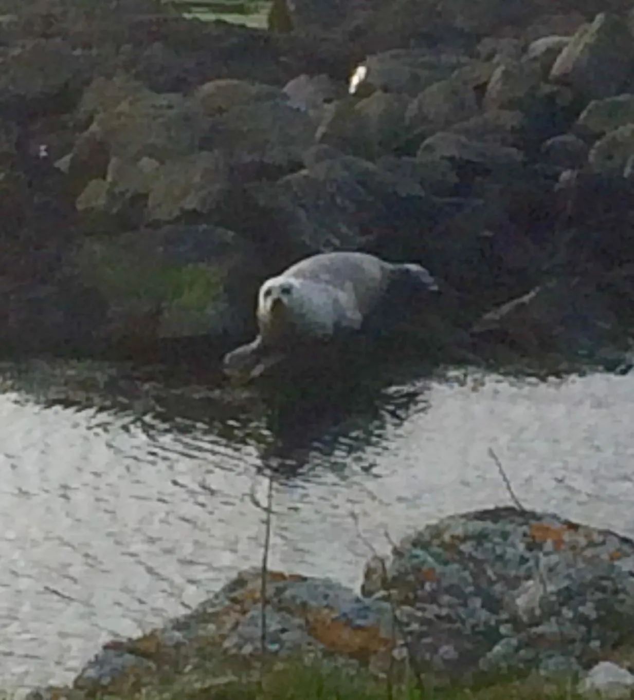 View (from property/room) in Burnside Lodge